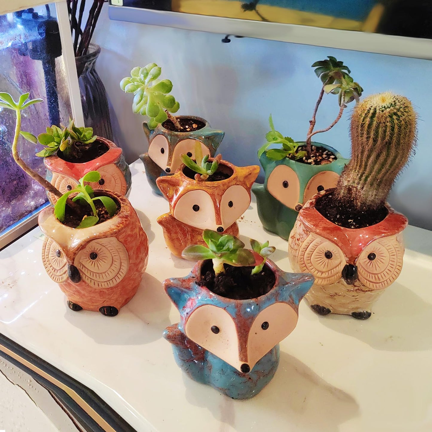 GZQCI 4 Pack Succulent Pots, Ceramic Flower Planter Pot, Small Animal Succulent Planters, Cute Cactus Flower Pot Garden Planters, Spring Gift, Office Home Decoration