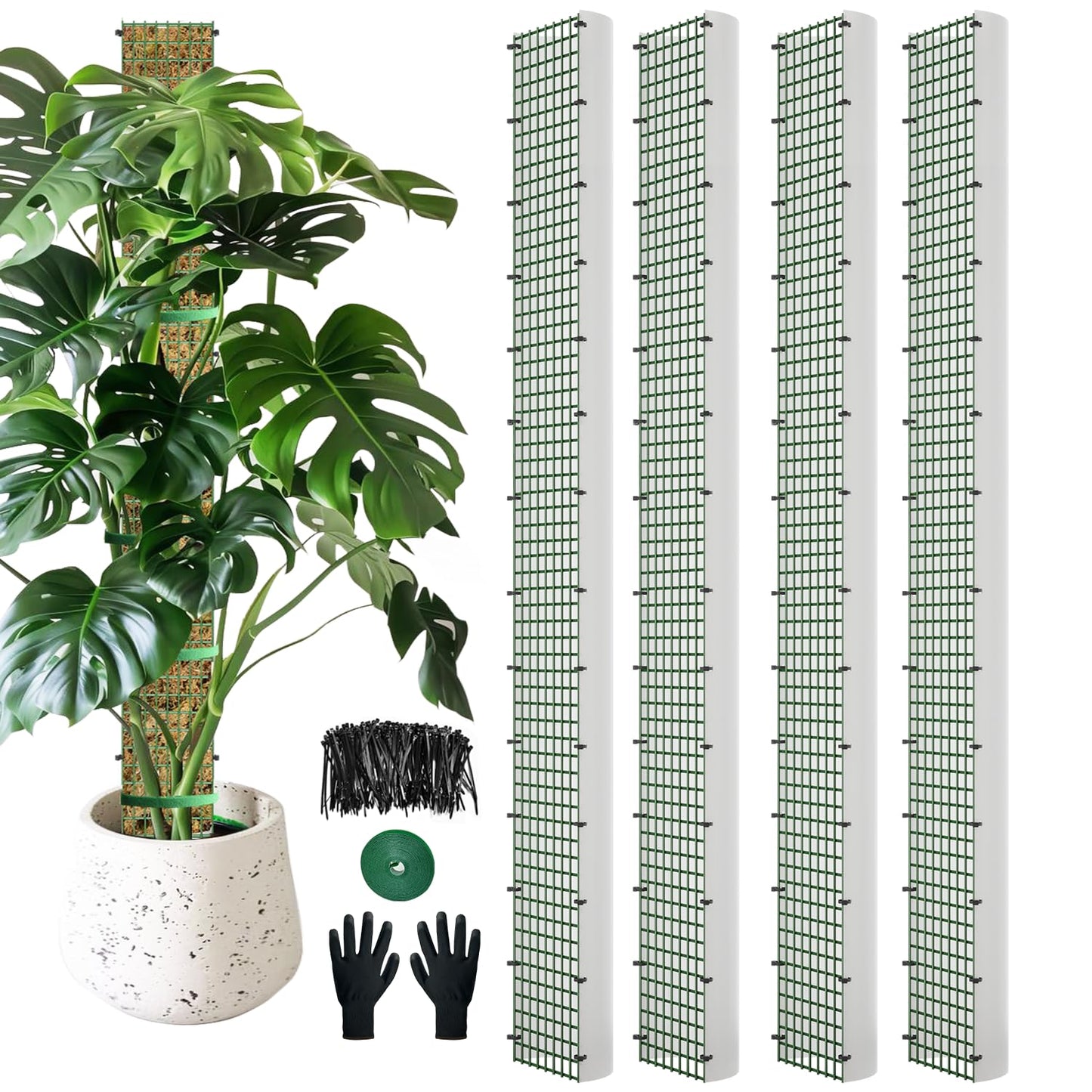 HOLANHING 60" Metal Moss Pole, D Shape Sphagnum Moss Pole, Moss Poles for Climbing Plants, Monstera, Indoor Climbing Plants (4Pcs 60")