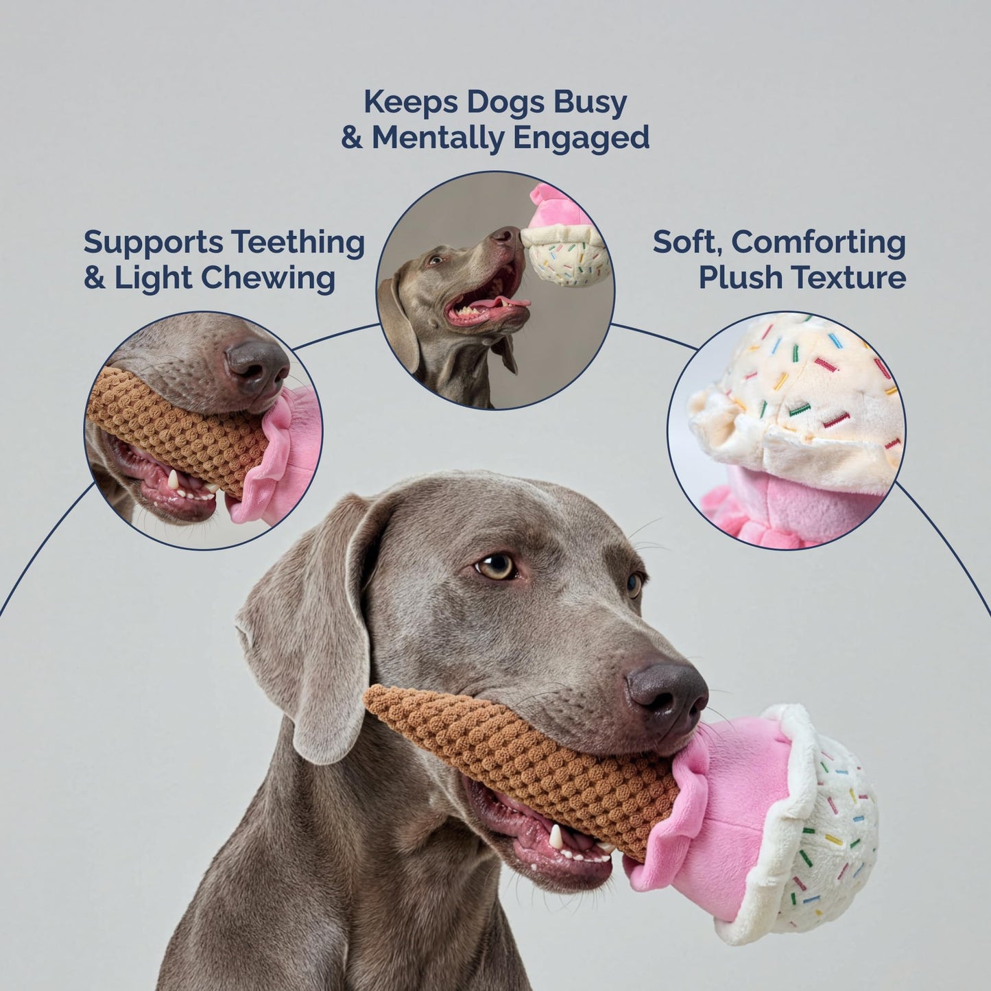Pet Lou 10 Inch Ice Cream Plush Chew Toy, Boredom Buster Dog Toy with Squeaker and Crinkle, Durable Two-Layer Fabric for Teething Puppies, Heavyweight Plush