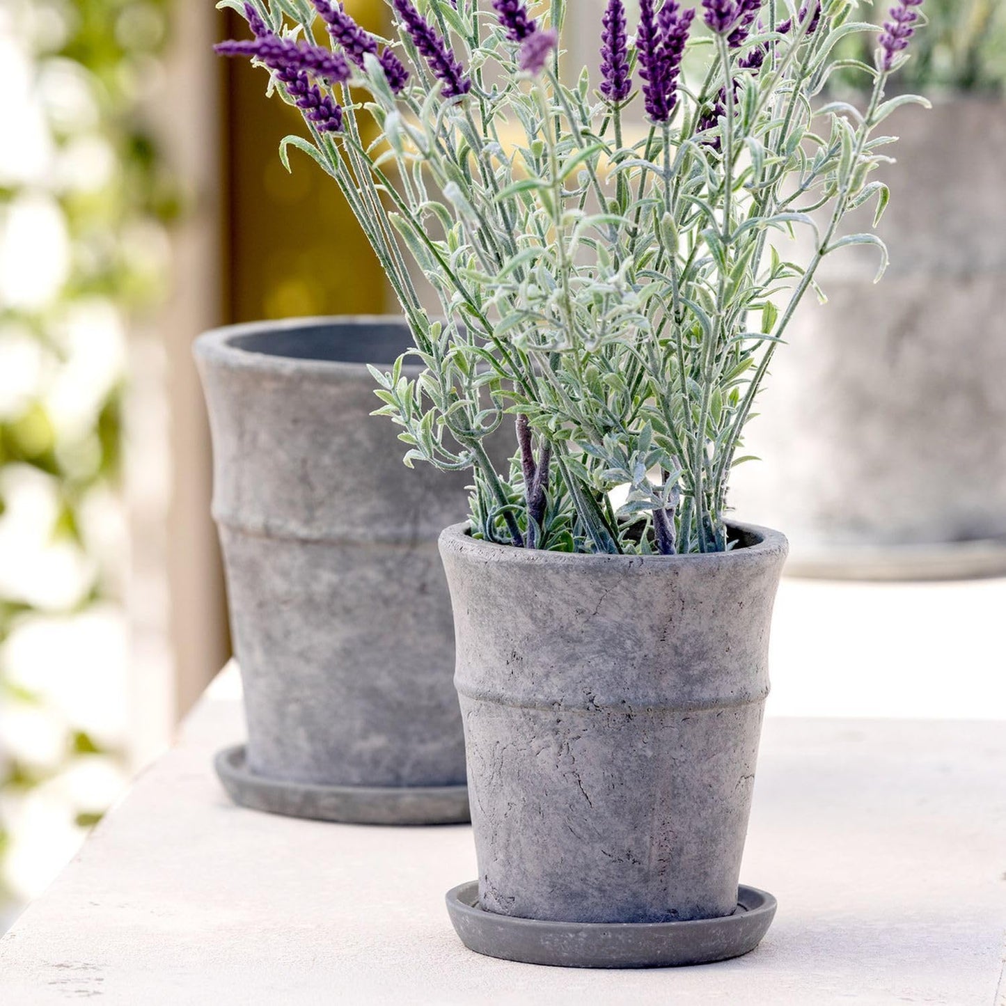 Park Hill Collection Meyer Cement Garden Pot W/Tray, 5.5"