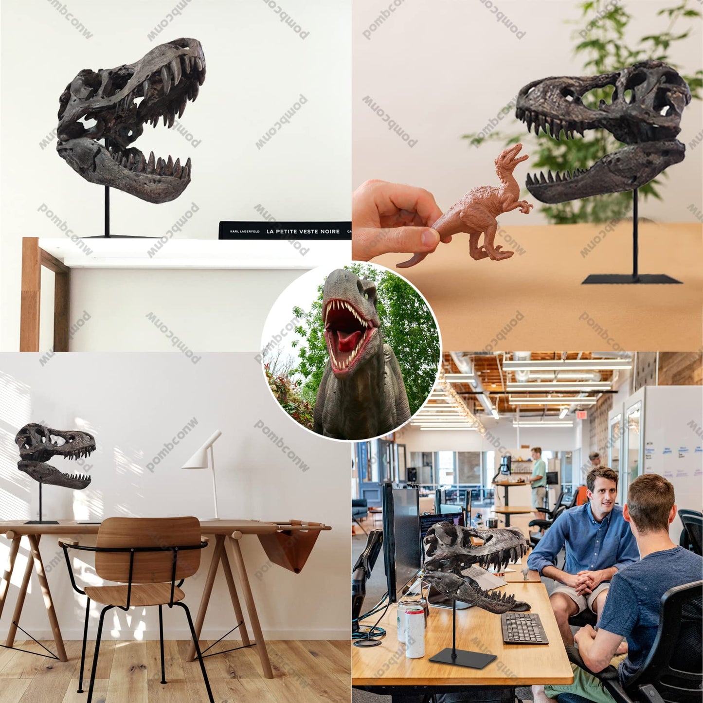 pombconw T Rex Skull, Dinosaur Statue Resin Dinosaur Skull Fossil Replica Skeleton Sculptures,Decorative Ornaments for Office Desktop Cabinets Home Kids Adults