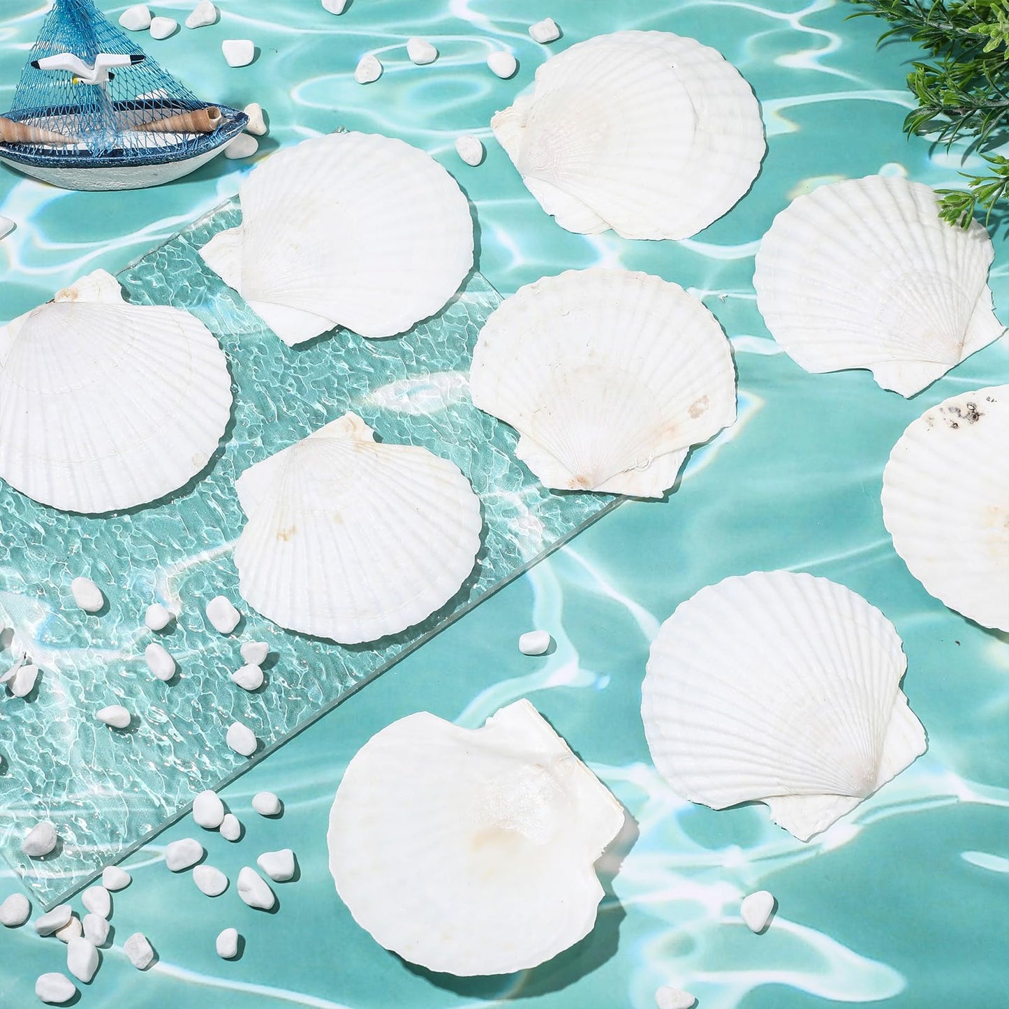 GlikCeil 50 Pcs Sea Shell for Crafting Natural Large Scallop White Oyster Shells Bulk for Decorating DIY Home Decor Beach Wedding Ocean Themed Party(3.5''-3.9'')
