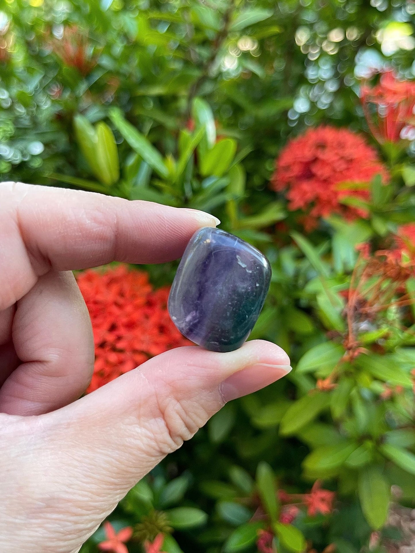 GAF TREASURES 5 Pcs Rainbow Fluorite Tumbled Stones, Polished Natural Rainbow Fluorite Gemstone, Rainbow Fluorite Healing Crystals (Rainbow Fluorite)