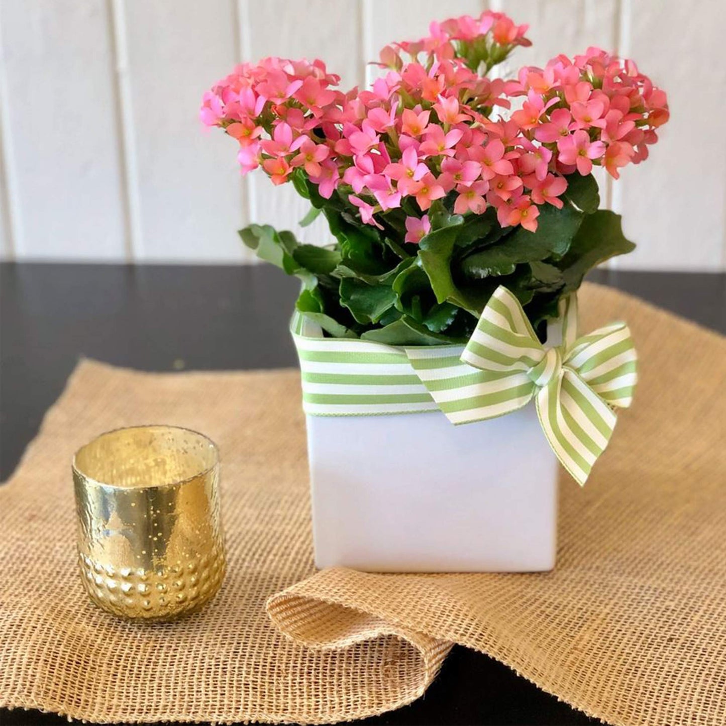 WGVI WGV Ceramic Cube Vase Width 3" Height 3" (Fits 2.5" Pot) Elegant Modern Small Square Floral Planter Terrarium Container Table Dresser for Event Accent Home Office Decor White 1 Piece