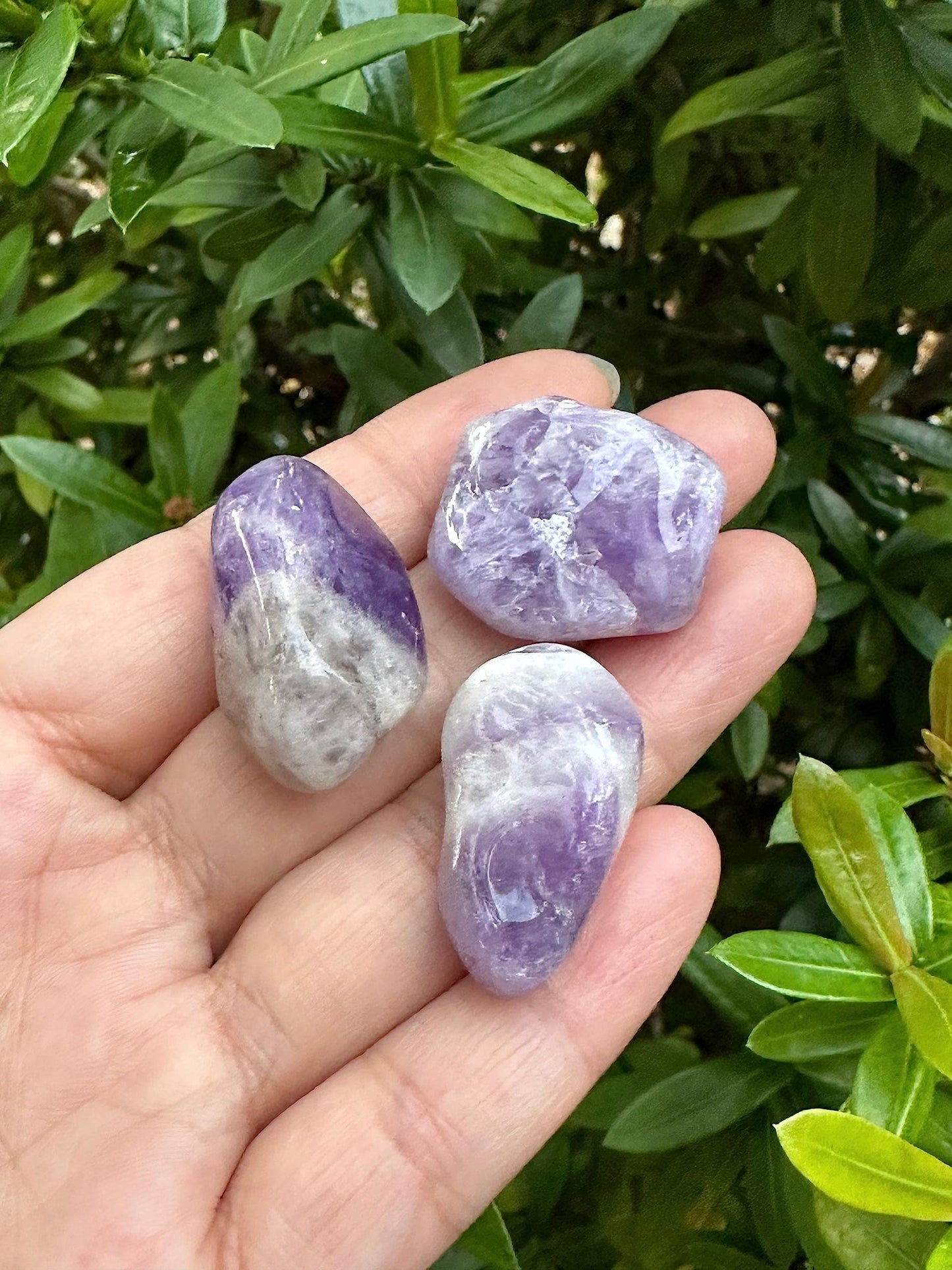 GAF TREASURES 5 Pcs Chevron Amethyst Tumbled Stones, Polished Chevron Amethyst Gemstone, Chevron Amethyst Healing Crystals (Chevron Amethyst)