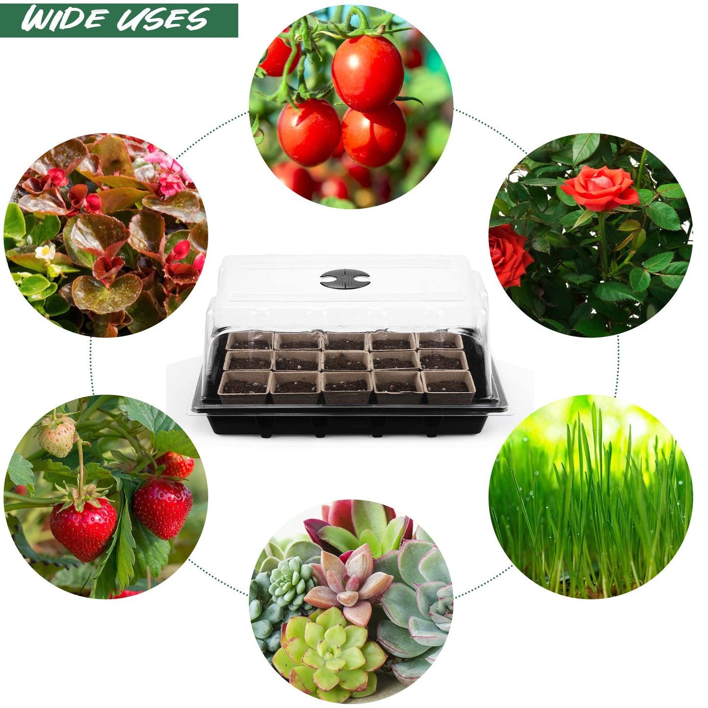 Hahood 4 Pack Seed Starter Tray Set Plants Growing Trays Peat Pots for Seedlings with Seed Starter Pots, Plastic Germination Tray, Plant Labels, Tool for Flower Vegetable Planting, Black