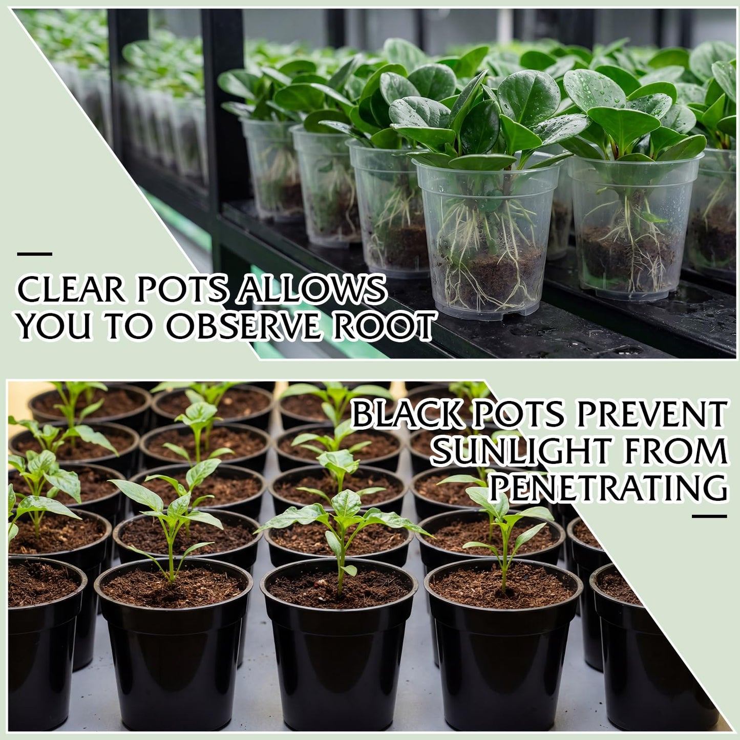 Sliner 200 Pcs 2 Inch Plastic Nursery Pot Mini Seedling Planter Flower Planting Pots Plastic Planters with Drainage Holes for Outdoor Indoor Flower, Starting Seedlings, Black, Clear
