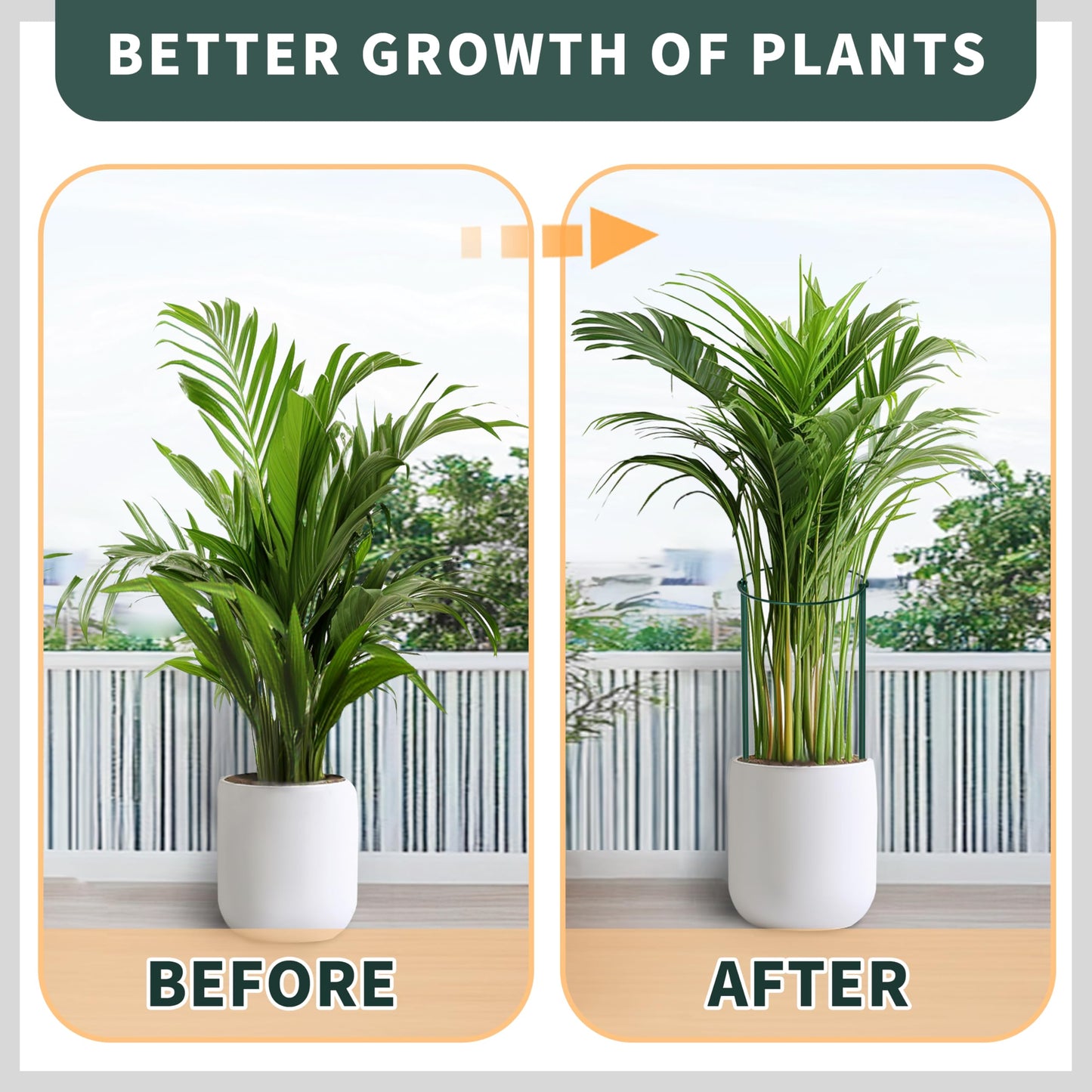 TCBWFY 24"Hx10"D Plant Supports Stakes for Large Heavy Plants,20 Pack Peony Supports,Heavy Duty 4.5mm Wire Peony Cages,Interlock Garden Supports Ring Border Support,Plant Support Cage for Rose Flowers