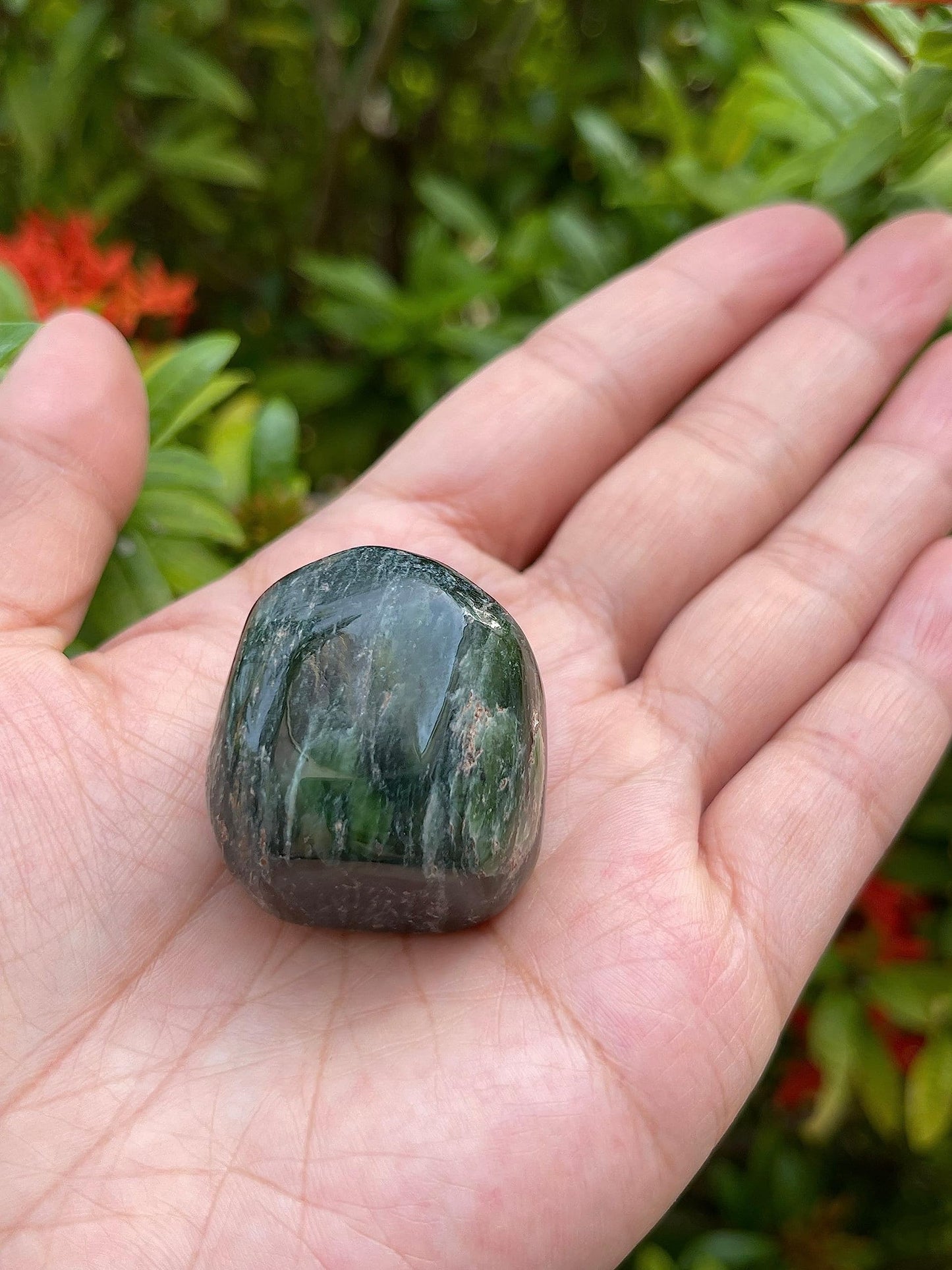 GAF TREASURES 5 Pcs Nephrite Jade Tumbled Stones, Polished Natural Nephrite Jade Gemstone, Nephrite Jade Healing Crystals (Nephrite Jade)