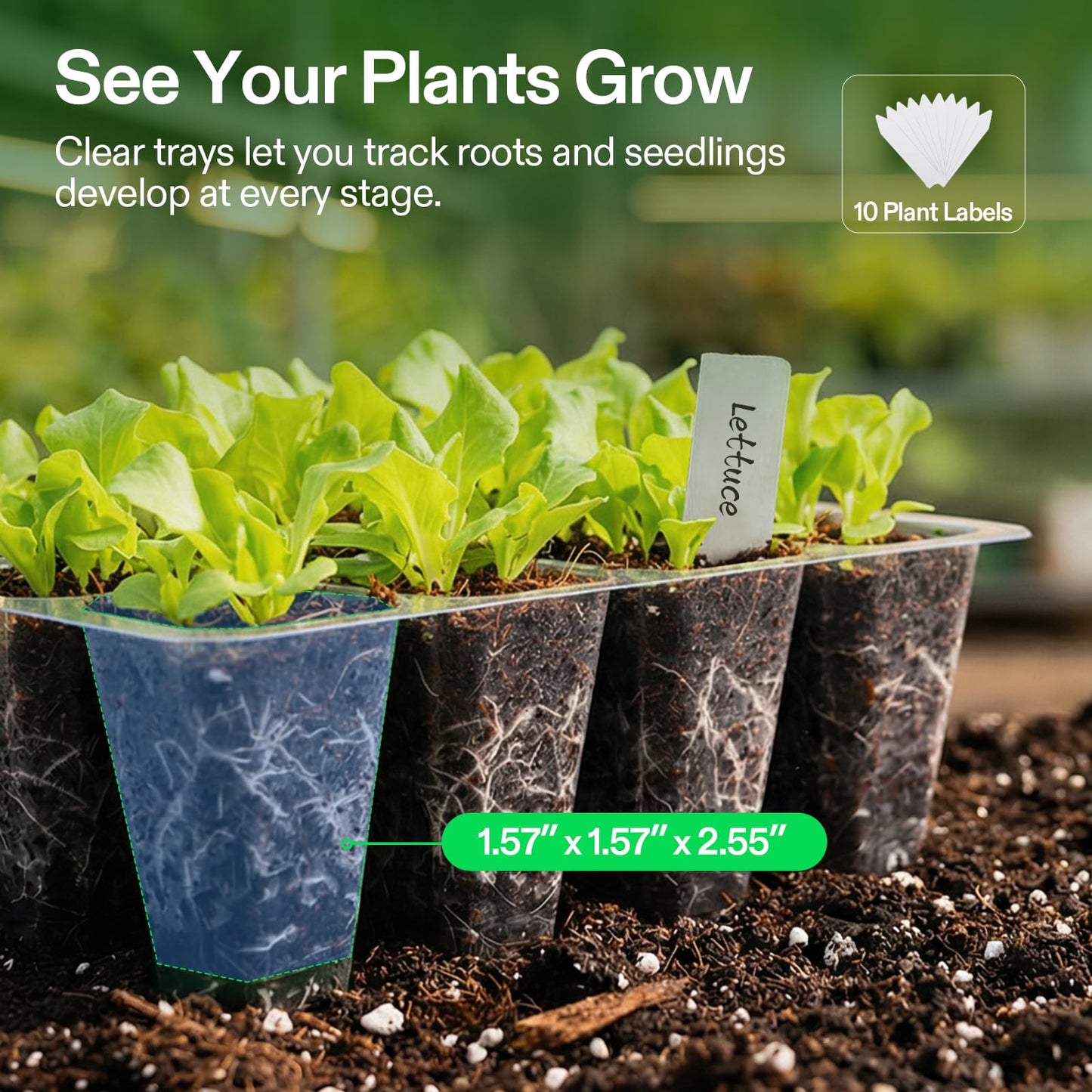 VIVOSUN 24-Pack Seed Starter Trays, 144-Cell Seed Starter Kit with Humidity Dome, Flat Reusable Plant Germination Trays with Drain Hole, Green Propagation Tray for Planting Seeds