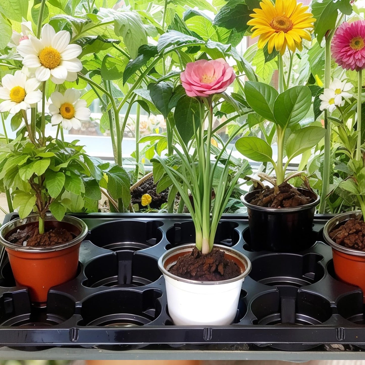 Baderke 4 Inch Round Nursery Pots 90 Pcs, 15 Cell Nursery Pots Trays 6 Pack, Durable Seedling Starting Germination Flowerpot Trays, Small Planter Propagation 6 Sets(Multicolor)