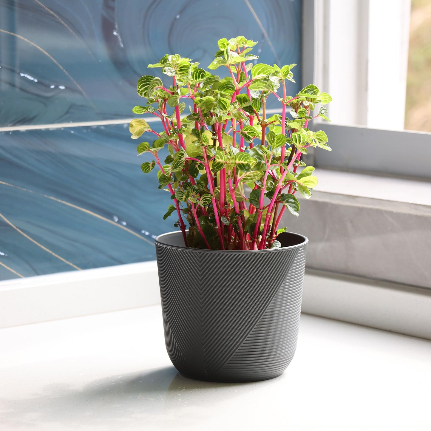 Dexceder 10x9 Striped Table Flower Plant Pot with Drainage Hole & Removable Plug (2 Pack, Deep Gray)