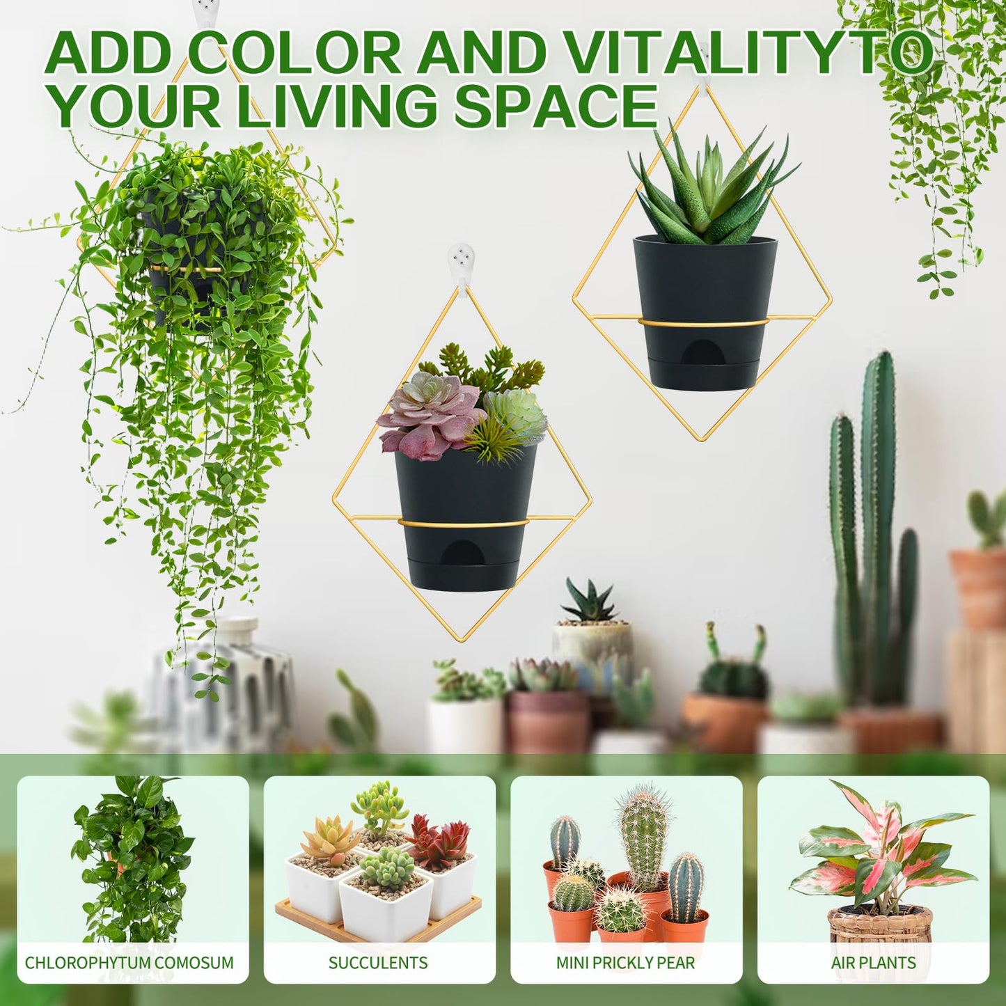 Koalaime 3 Sets Wall Planters for Indoor Plants Geometric Hanging Planters for Indoor Plants - Self-Watering Flower Pots with Black Metal Holder, Mounted Succulent Planter, 5" Black Plant Pot