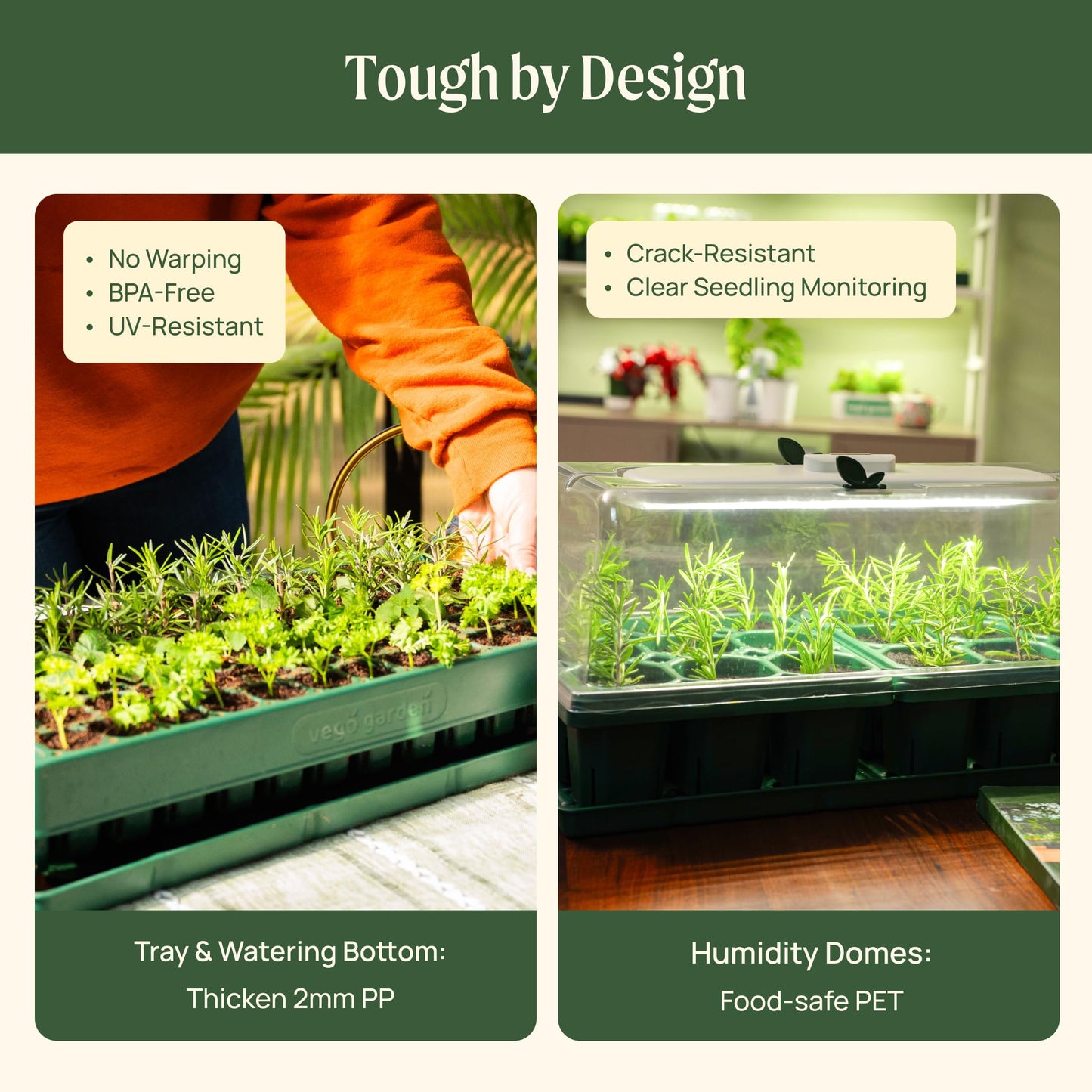 Vego garden 2 Set 76 Cells Seed Starter 10" x 20" Tray Stackable Seedling Starting Germination Trays for Plants Planting Vegetables Herbs Flowers,