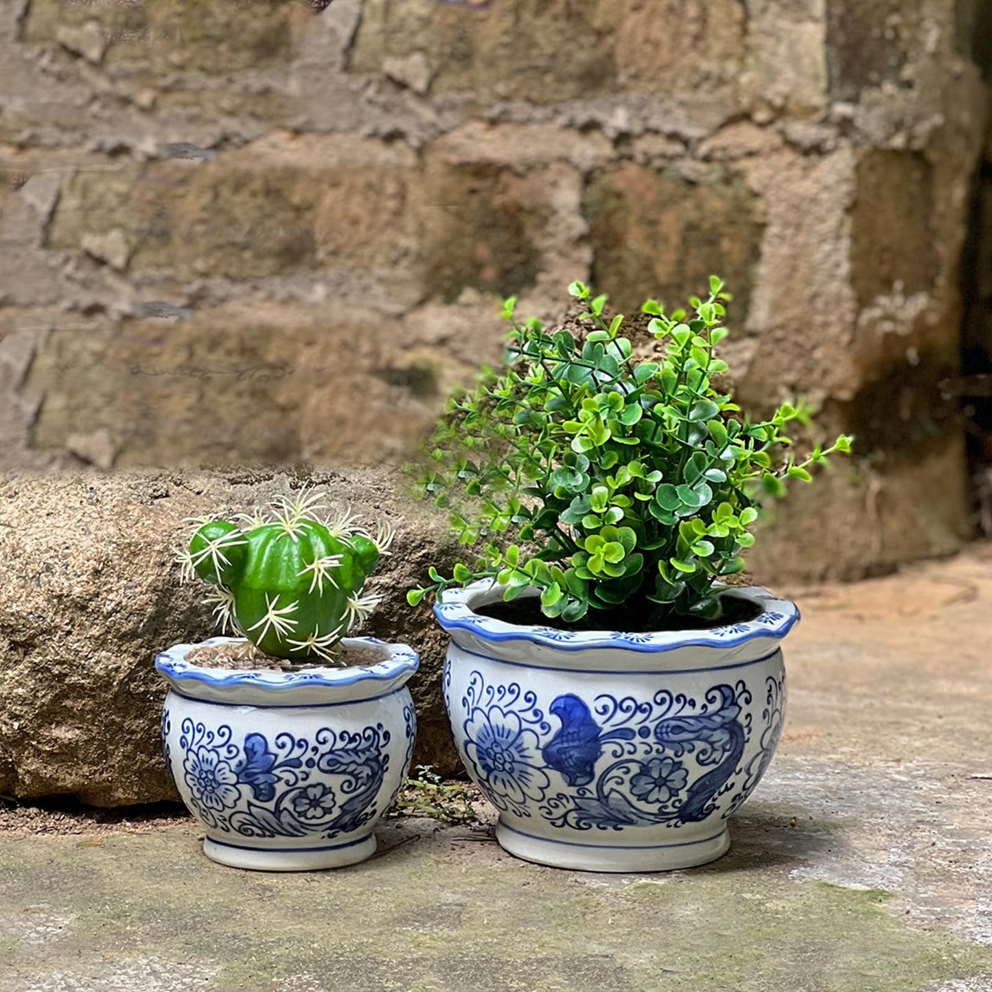 HakkaGirl Blue and White Planters, Succulent Pots Ceramic Plant Pots Indoor with Drainage for Home Décor - Set of 3