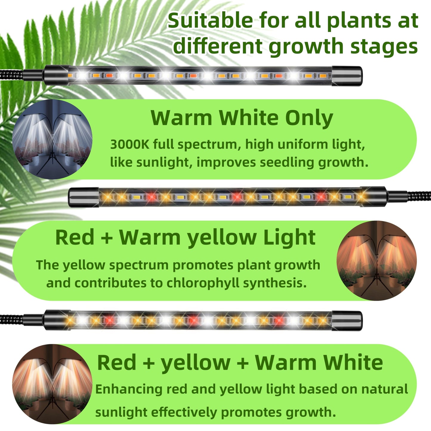 Grow Lights with Stand for Indoor Plants