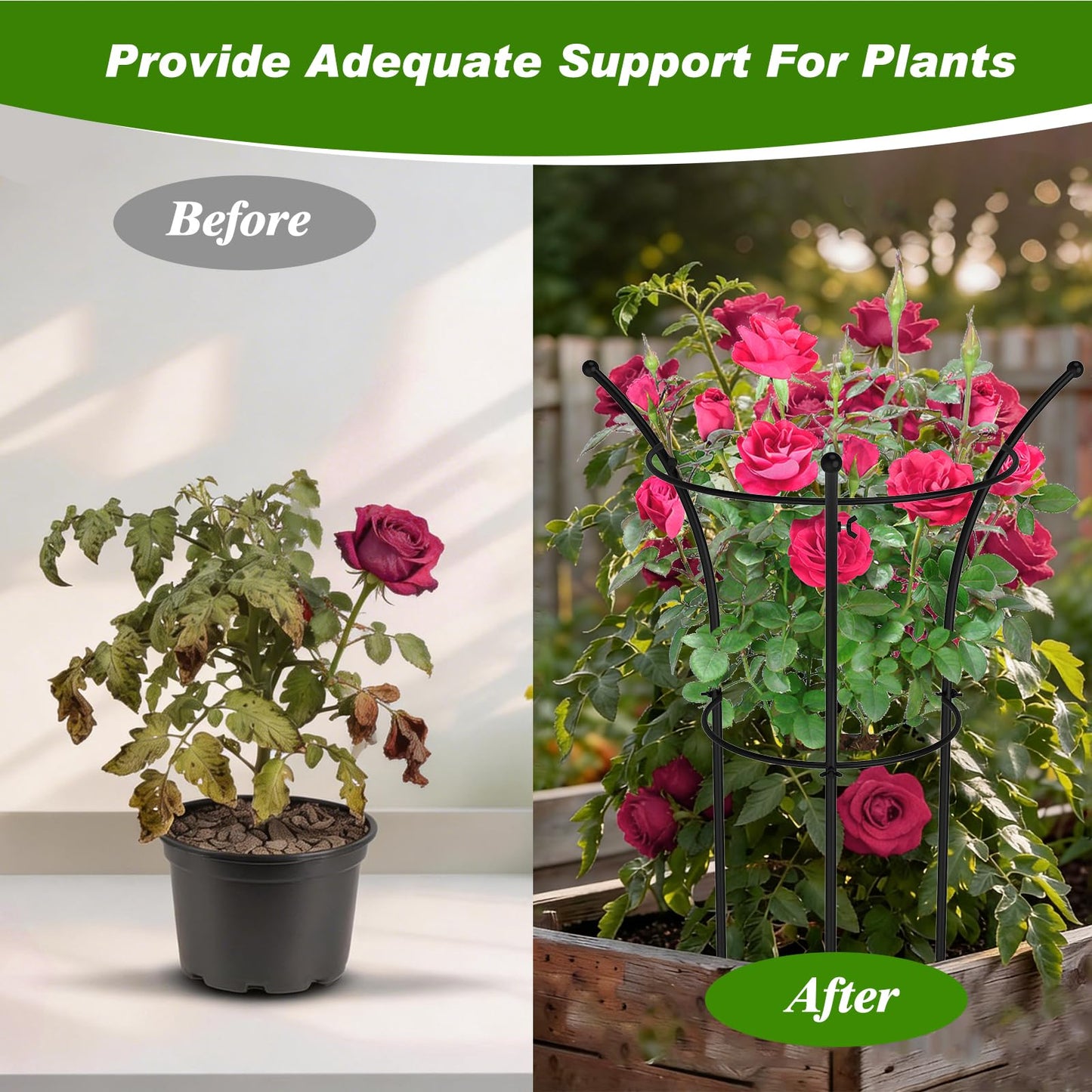 4 Pack Peony Cages and Supports, 12.5" Dx24 H Plant Supports for Outdoor Plants, Double-Ring Metal Peony Support Cage, Natural Bouquet Shape Plant Support Rings for Rose Tomato Hydrangea Strawberry