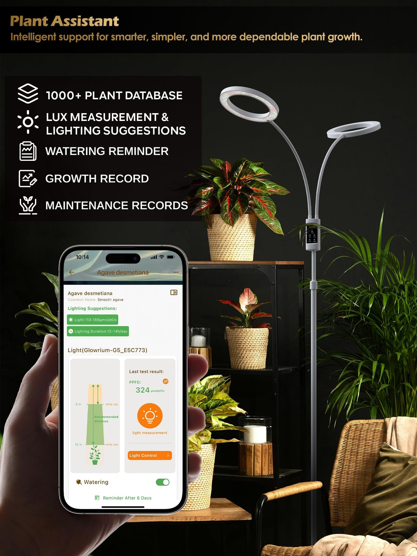 Smart Grow Lights for Indoor Plants, 48W Plant Light with Auto-Timer, Full Spectrum LED Grow Light, Adjustable Height & Stepless Dimming,Plant Assistant Suitable for Most Plants (White(Dual Heads))
