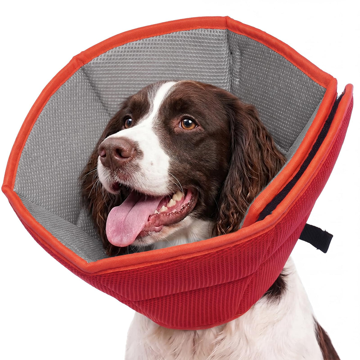 Allroaring Soft Dog Recovery Cone Adjustable Stop Licking Wounds Purple M