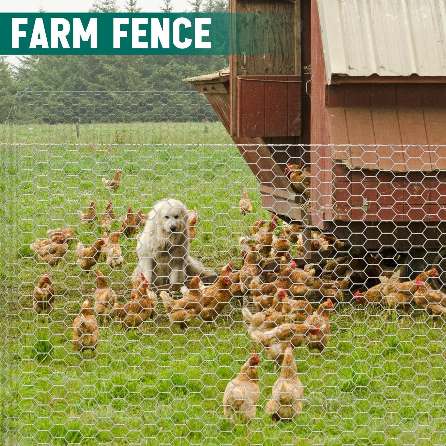 GlikCeil 12 in X 200 ft Chicken Wire Fencing Metal Floral Chicken Wire Mesh for Crafts Poultry Garden, 1 Inch Hexagonal Galvanized Hardware Cloth Netting for Poultry Coop Barrier Rabbit Cage (Silver)