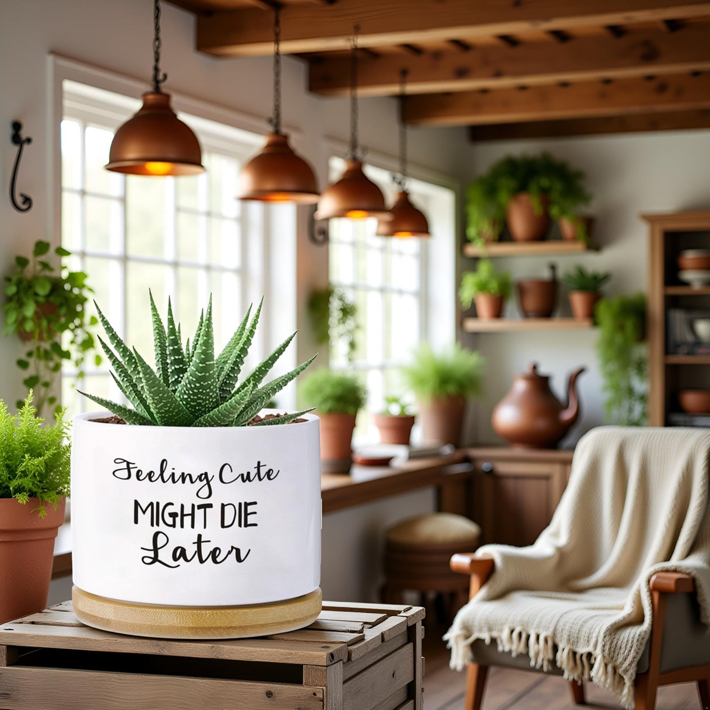 Haooxinwei Funny planters for Indoor Plants Garden Succulent Pots, with Drainage Holes and Saucer(No Plants) (Feeling Cute Might Die Later)