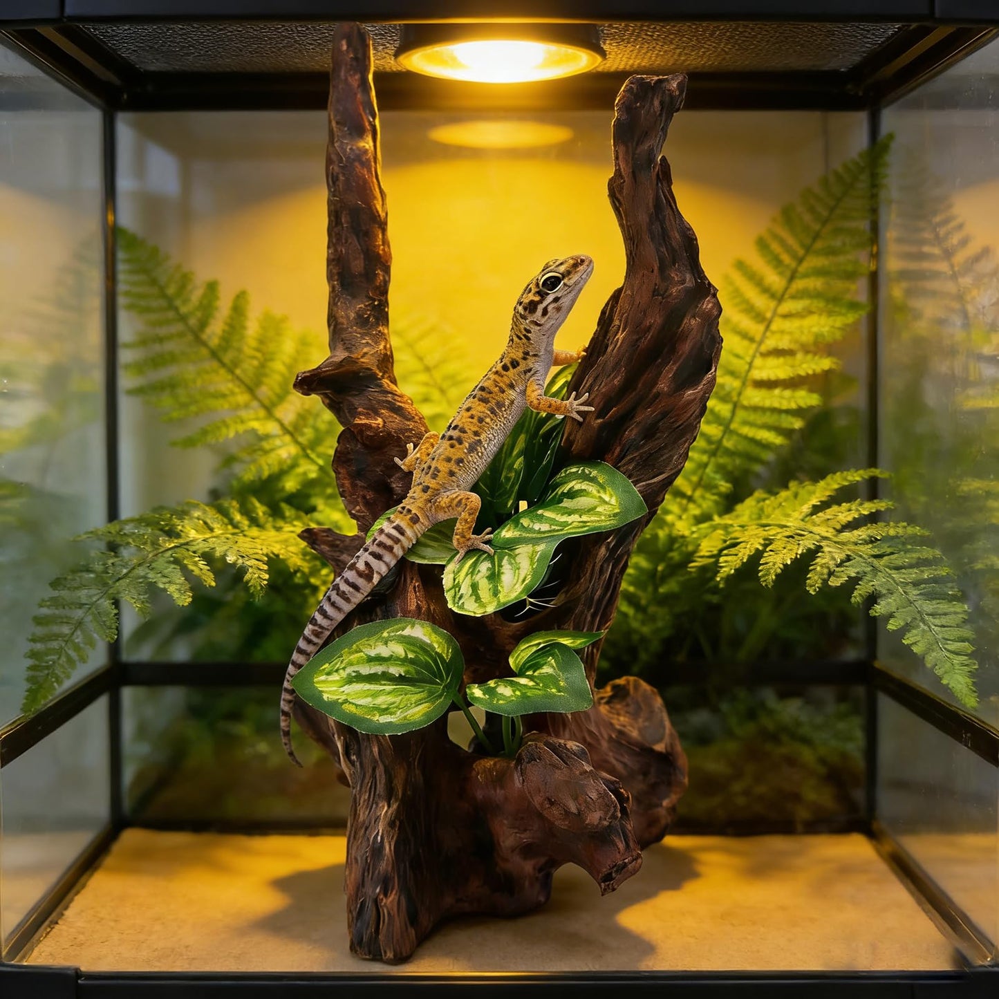PEUILST Resin Simulation Driftwood Aquarium Decor, Fish Tank Landscape Ornament Hideout for Betta Goldfish Amphibians Reptiles Rest Play Accessories