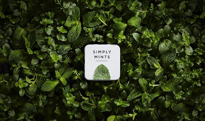 Simply Mints (Peppermint, 45 Count (1 Tin)) (Pack of 2)