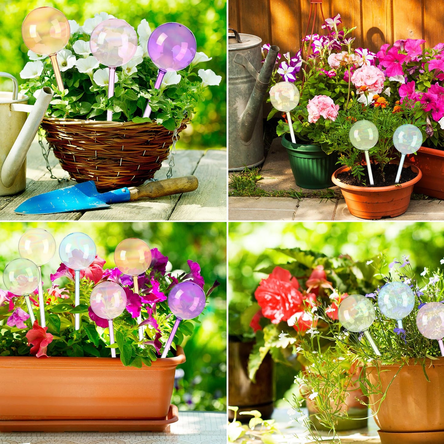 Maxdot 6 Pcs 6.7 Oz Plant Watering Globes Glass Automatic Self Watering Planter Bulbs Self Feeder Balls Irrigation Device Auto Waterer Planter Insert Stakes for Indoor Outdoor Garden Potted