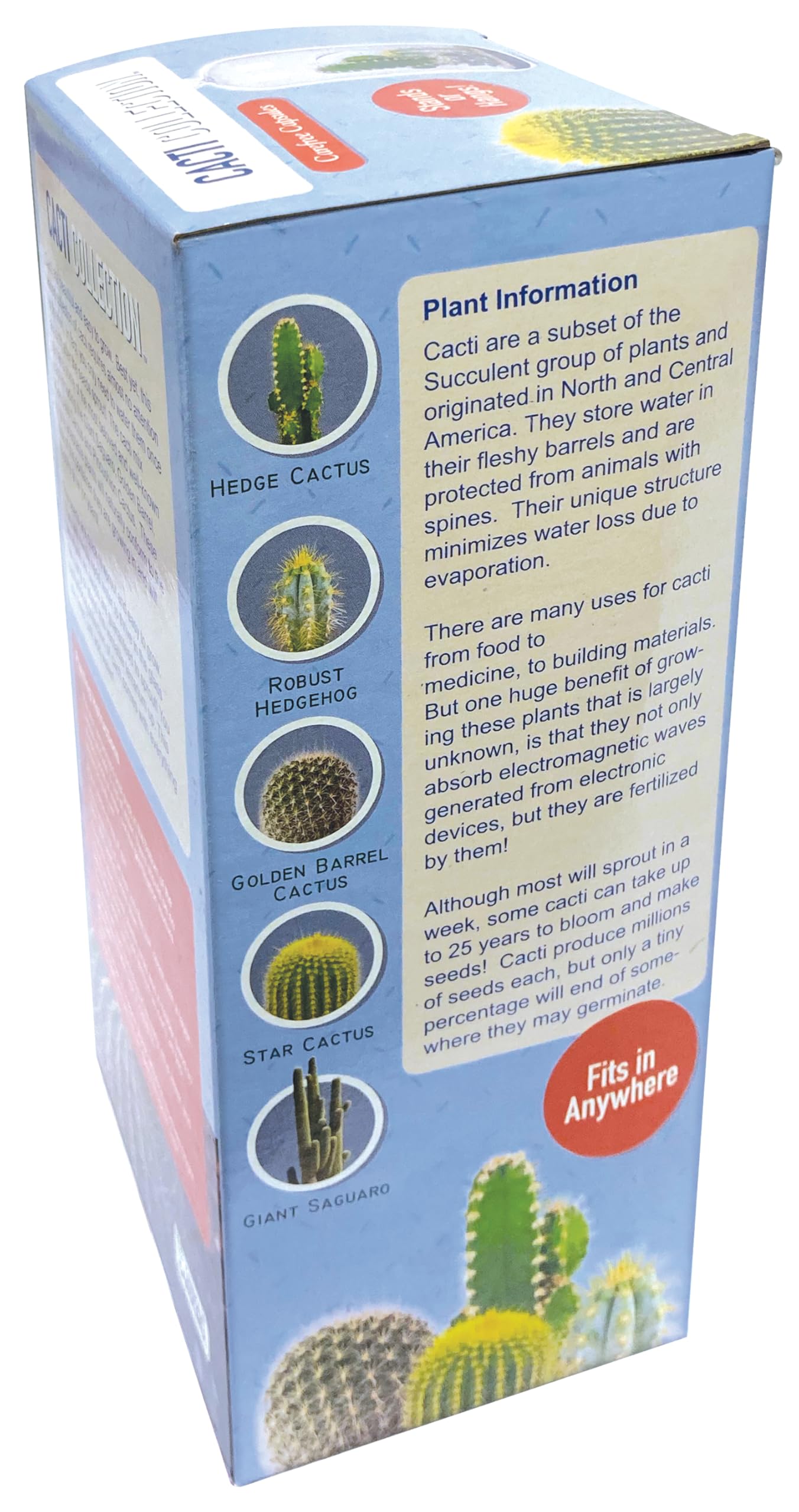 Cactus Terrarium Grow Kit by Unique Gardener - DIY Indoor Hanging or Standing Garden Starter Set with Complete Supplies, Easy to Grow Terrariums for Home Decor!