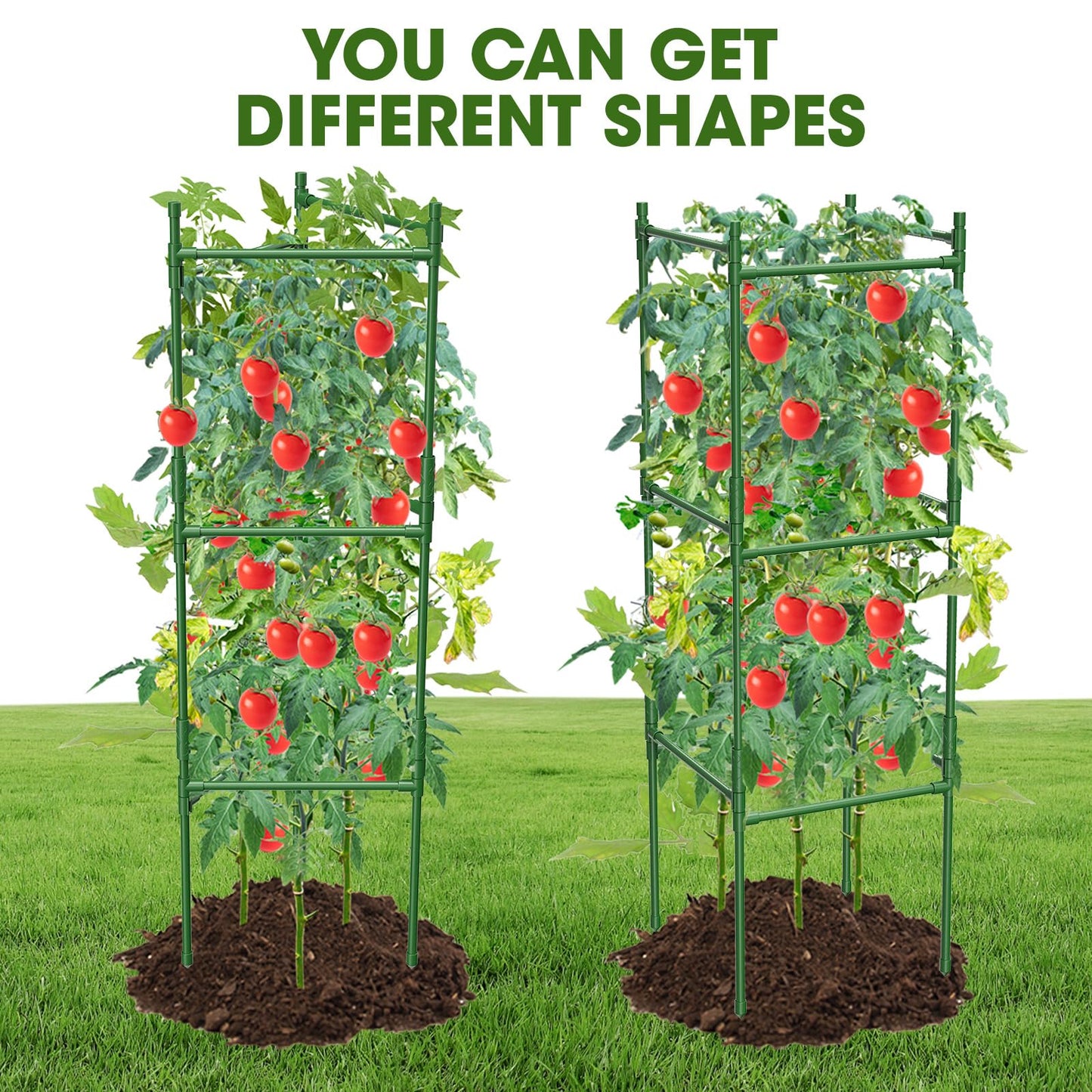 MQHUAYU 3 Pack Tomato Cage,Tomato Cage for Raised Garden Bed, 48'' Tall Tomato Trellis Triangle or Square Cages for Garden,Pots, Plant Cages & Supports（Green, Extra Bold ）