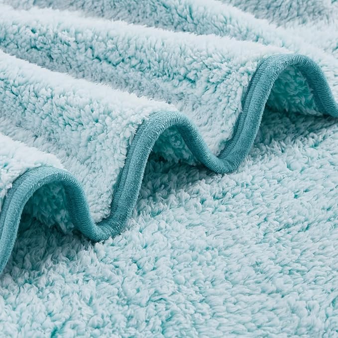 EMME Fuzzy Blanket Soft Fleece Throw Blankets for Women, Fluffy Sherpa Throws(Plush Teal,60"x80")