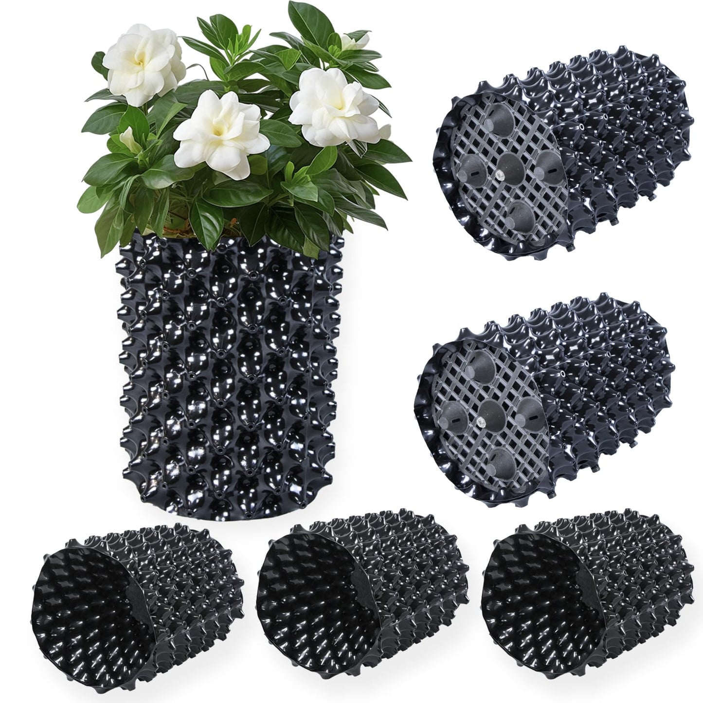 Plant air pruning pot, honeycomb porous structure design, improve root system development, prevent decay, suitable for flowers/vegetables/seedlings, farm planting solutions (Black, 8inches-3G-6P)