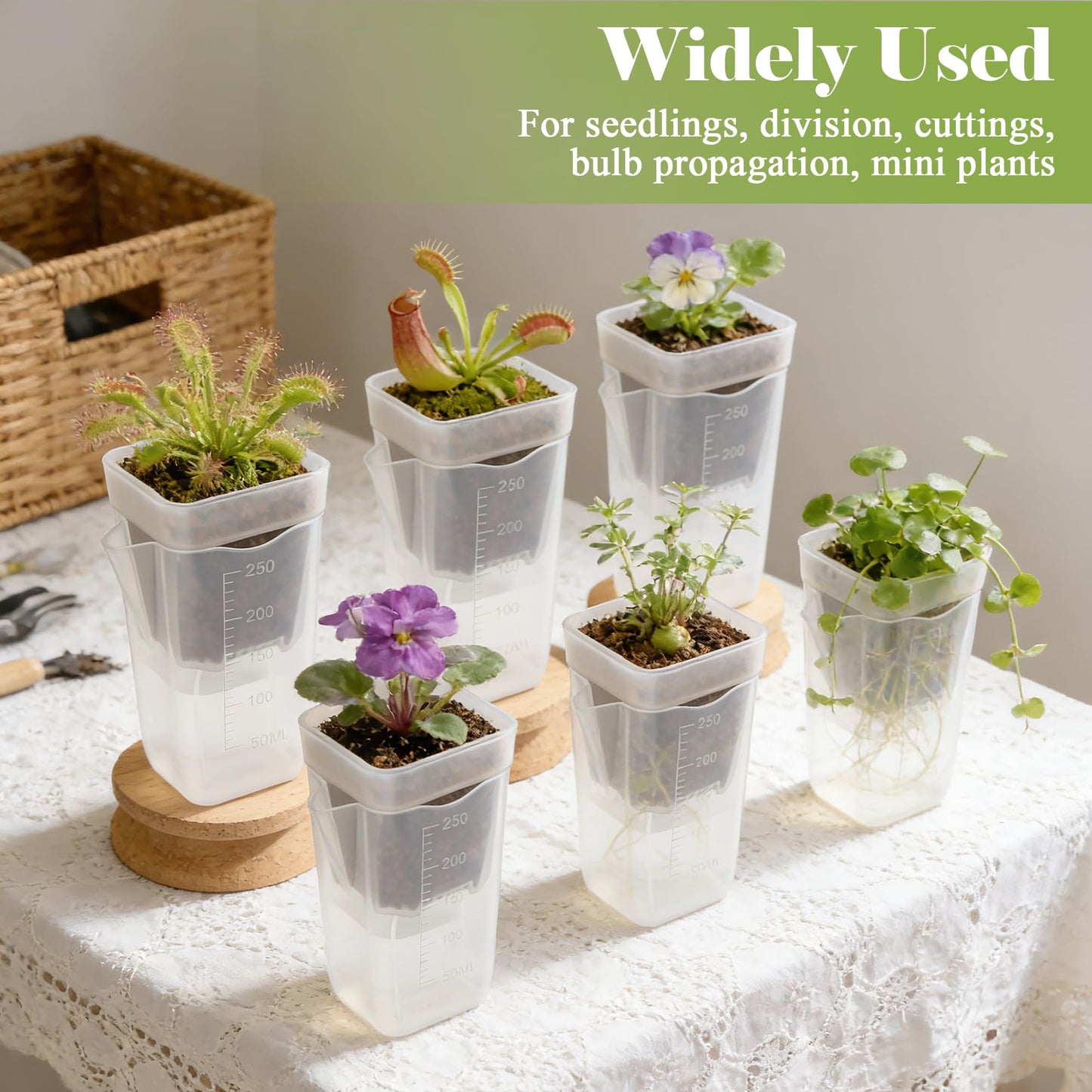 Anglekai 5P 2.5" Mini Self Watering Pots, Small Self Watering Plastic Planter for Indoor Plants for Bare Root Plants, with Inner Pot/ 3 Shovels/ 10 Labels (5)