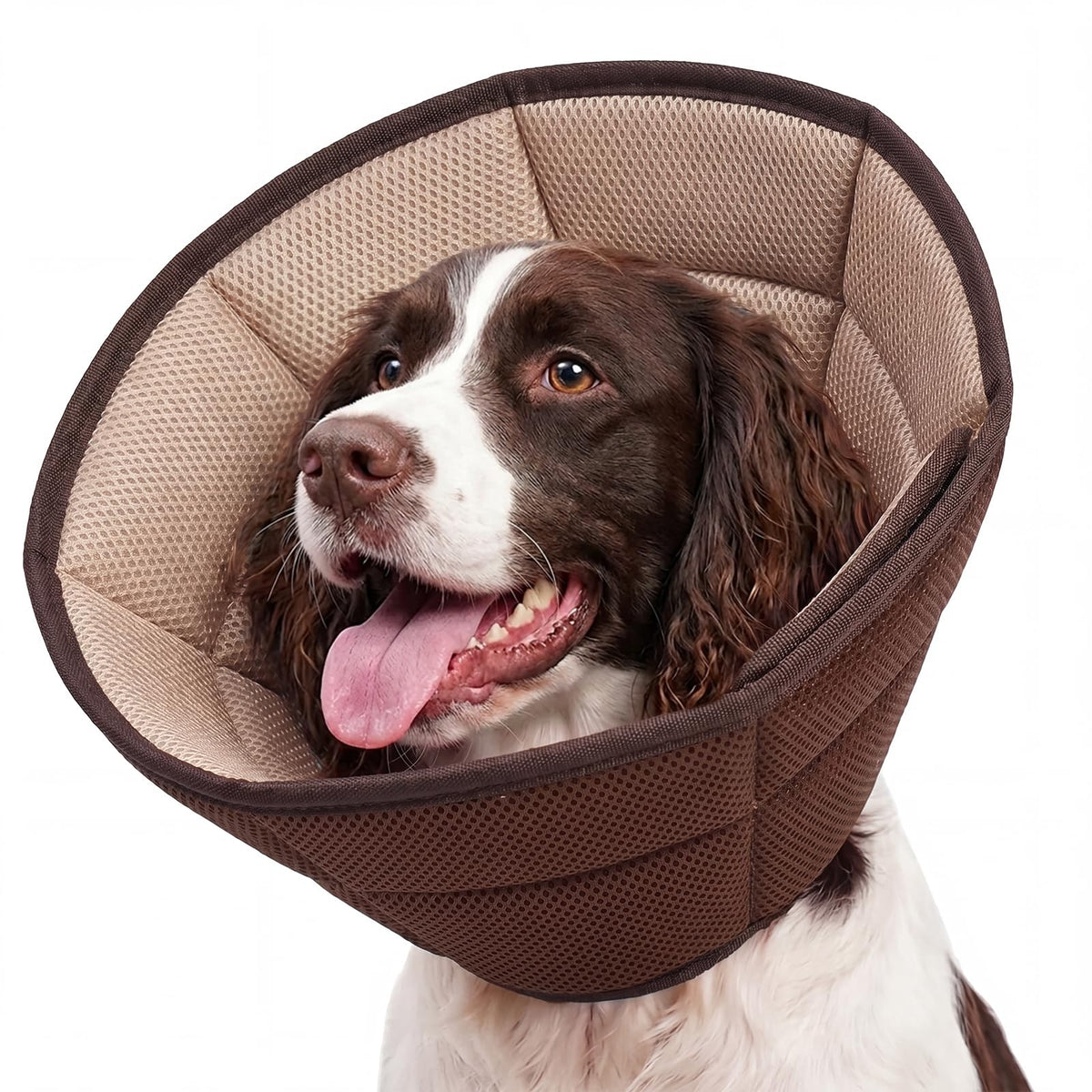 Allroaring Soft Dog Recovery Cone Adjustable Stop Licking Wounds Purple M