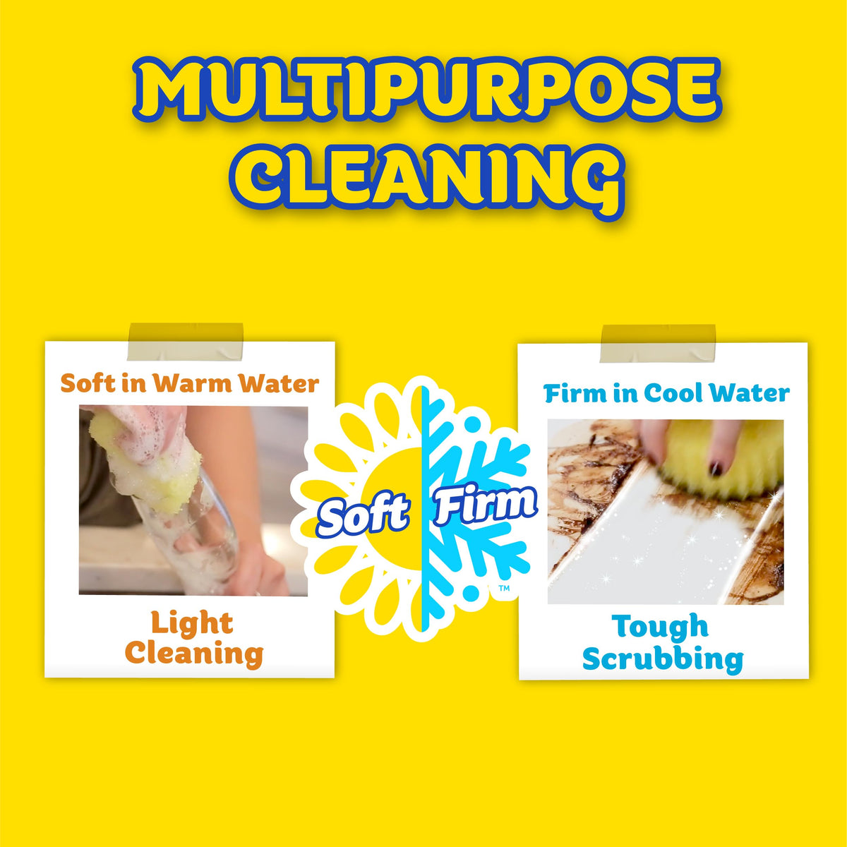 Sponges & Cif All Purpose Cleaner (2 Count)
