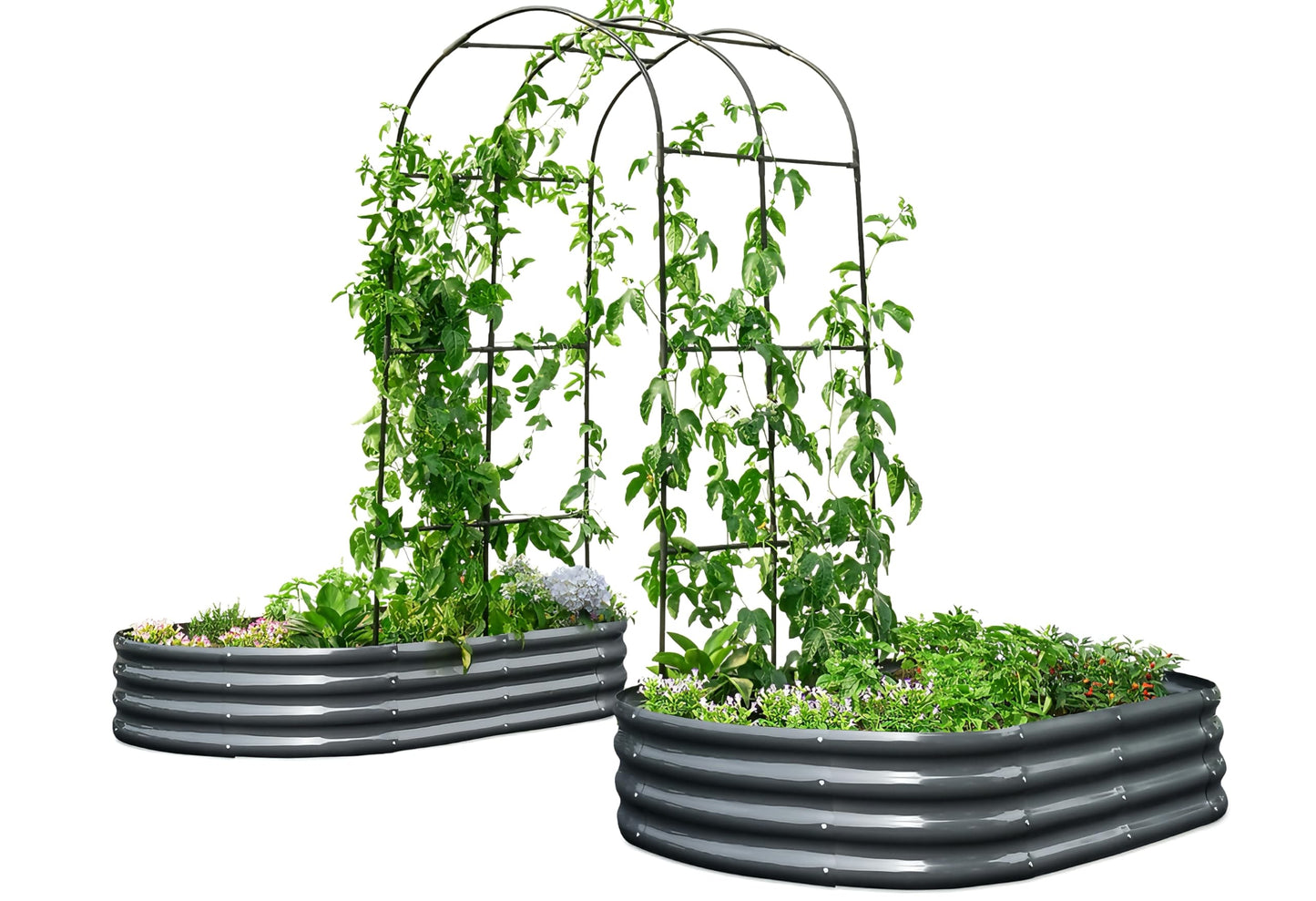 KING BIRD Raised Garden Bed with Arched Trellis Galvanized Planter Garden Box Outdoor for Gardening, Climbing Vegetables, Flowers 5.9x2.95x0.98 Ft 2PCS, Dark Grey