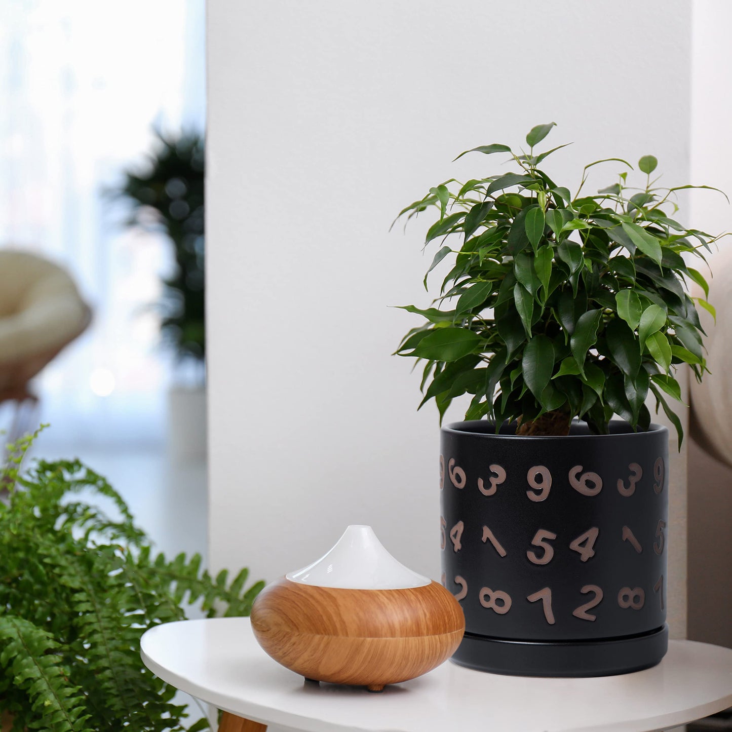 D'vine Dev Set of 2 Ceramic Planter Pots with Drainage Hole and Saucer, 6 Inch Plant Pots for Plants Indoor Houseplants, Black, 99-Z-B-2-Y