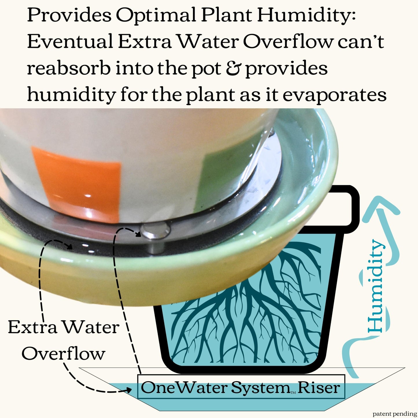 Ceramic Plant Pot and Saucer with OneWater System (5.25" Inches, Cylinder White)