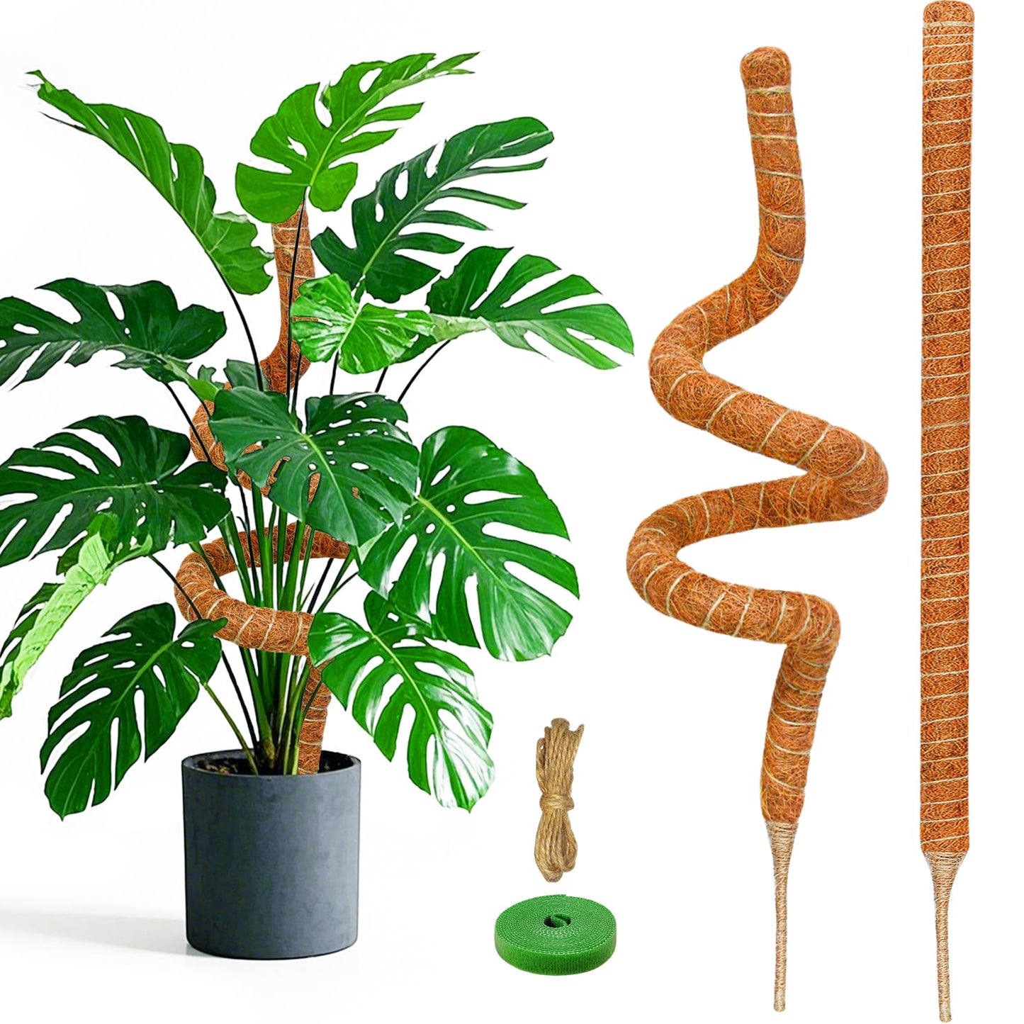 Dimpoo 2 Pack 60 Inch Moss Pole Monstera Plant Support, Coir Moss Poles for Climbing Indoor Plants, Bendable Plant Stake Trellis for Potted Plant, Pothos, Philodendron