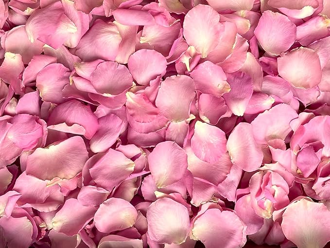 Rose Petals for Wedding Decoration, Bridal Toss, and Aisles, Freeze Dried, Use within 1 month (Pink, 30 cups)