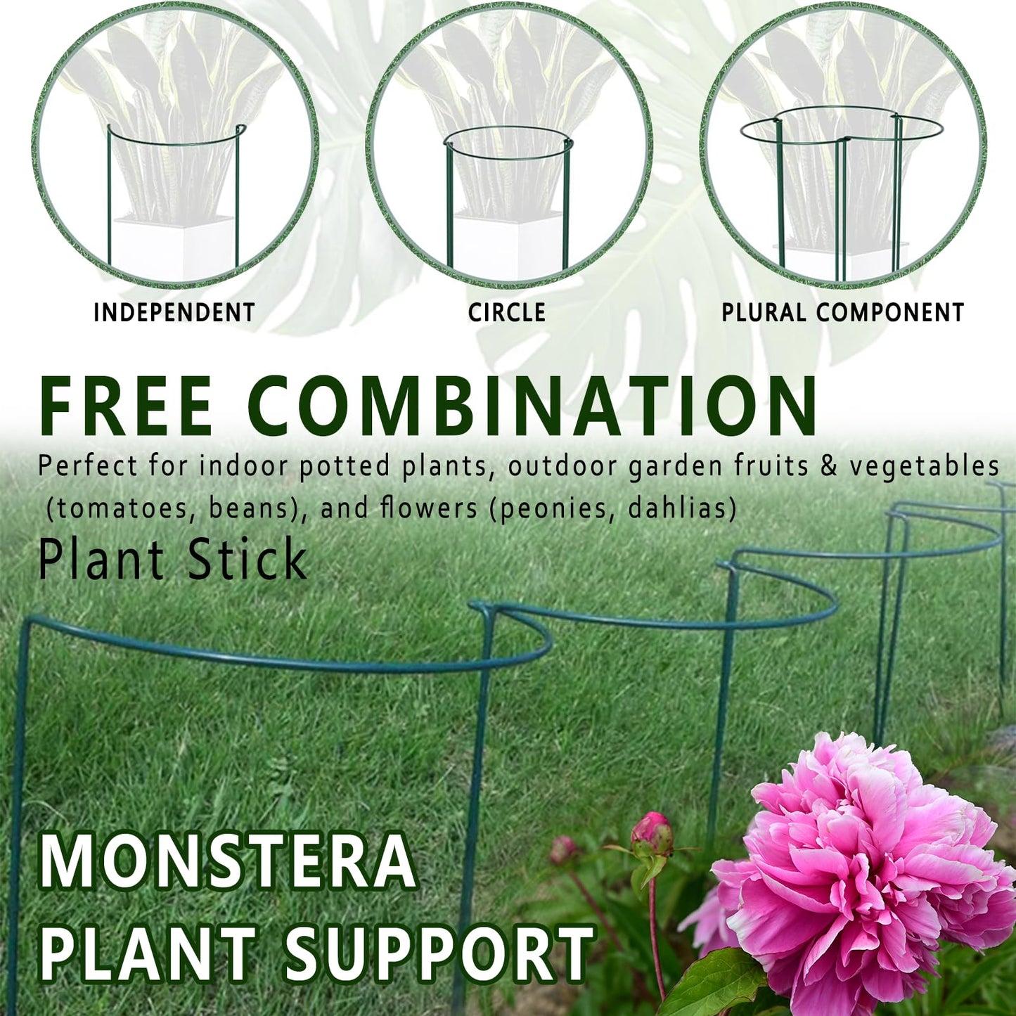6 Pack Detachable & Assemblable Metal Plant Support Stakes - Garden Support Ring, Tomato Seedling Cage, Young Monstera/Pothos for Growing Indoor/Outdoor (10" W x 16" H)