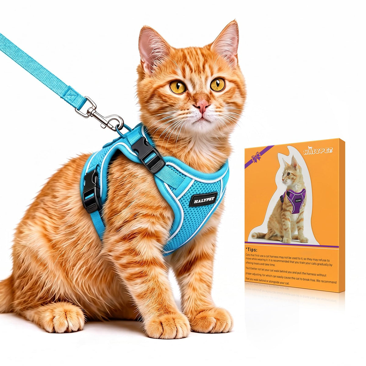 Cat Harness and Leash Set,Escape Proof Kitten Harness,Orange