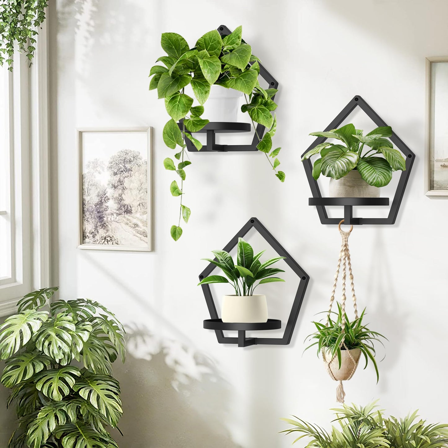 JOPBENG 3 Packs Wall Hanging Planters for Indoor Plants, 7.9inch Metal Wall Plant Holder Hanger Wall Decor, Wall-Mounted Hanging Planters Window Plant Shelves Outdoor(Black)