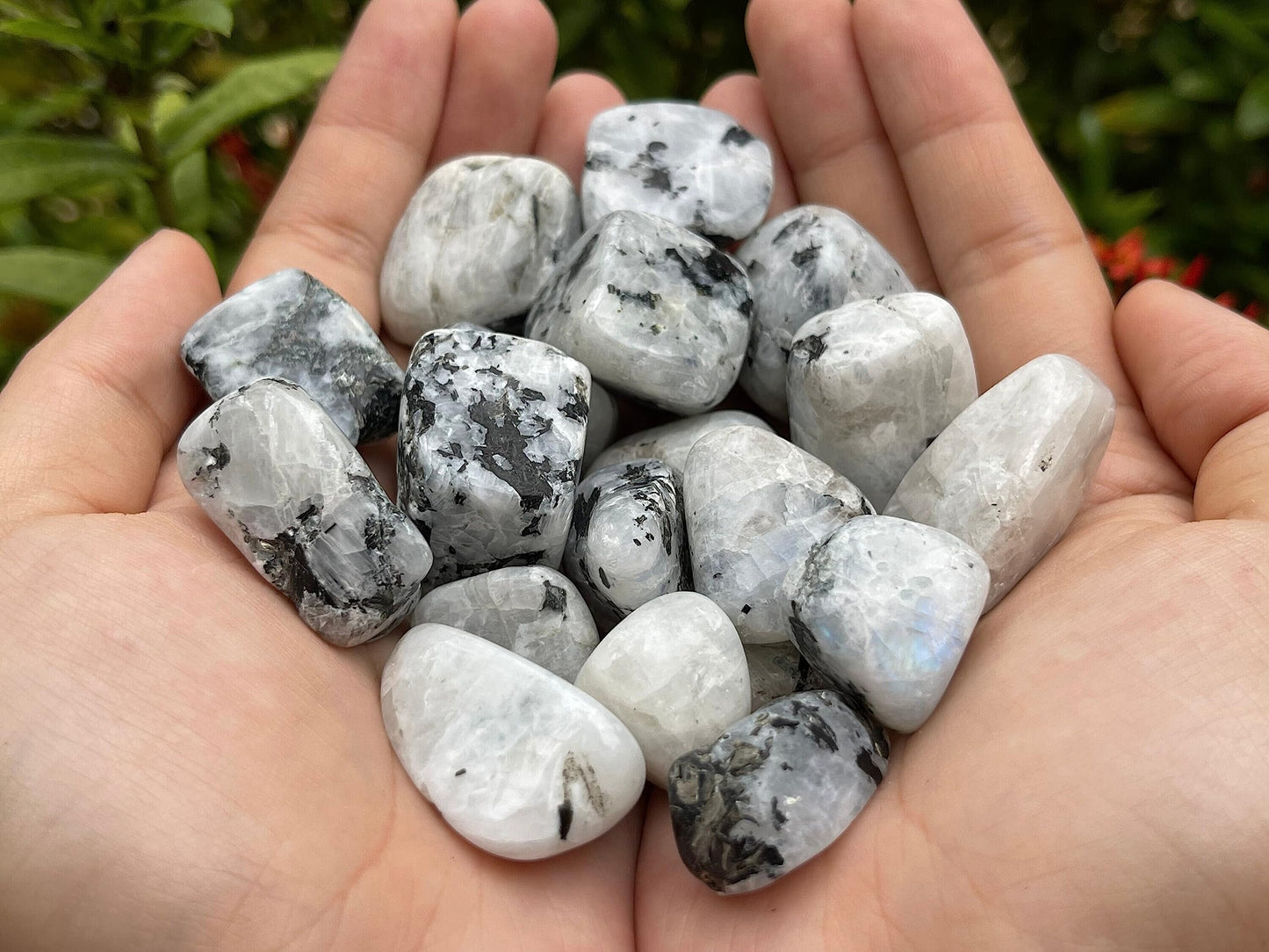 GAF TREASURES 5 Pcs Rainbow Moonstone Tumbled Stones, Polished Rainbow Moonstone Gemstone, Rainbow Moonstone Healing Crystals (Rainbow Moonstone)
