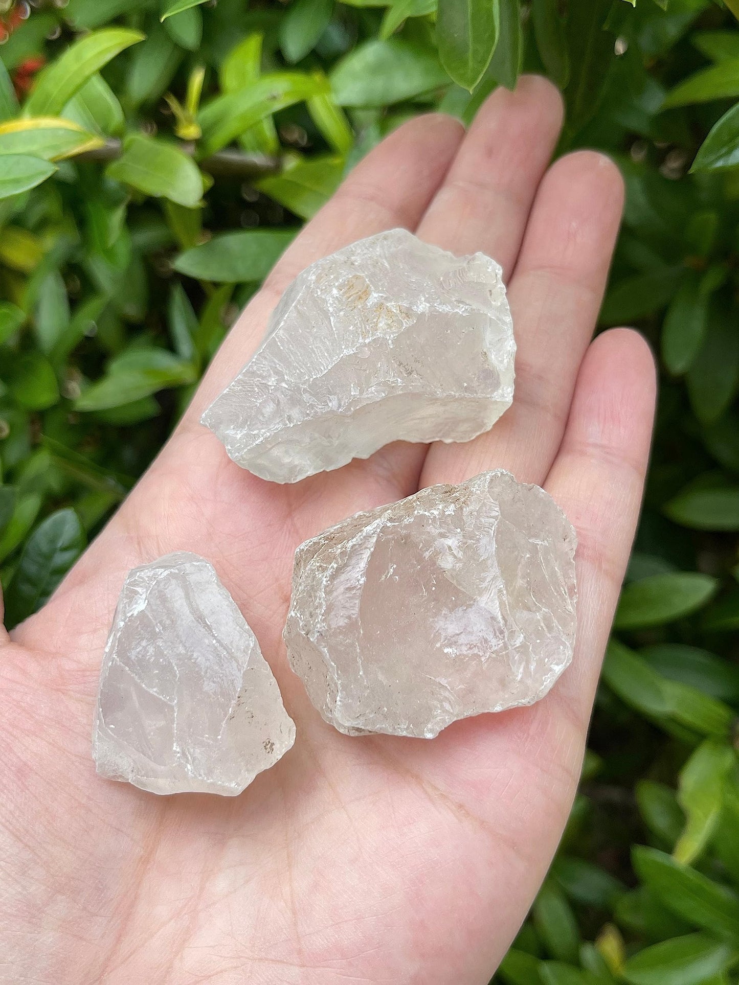 GAF TREASURES Wholesale Raw Clear Quartz Crystals, Natural Clear Quartz Stone, Natural Rough Clear Quartz Crystals, Clear Quartz Rough, Clear Quartz Healing Crystals (Clear Quartz, 0.5 Pound)