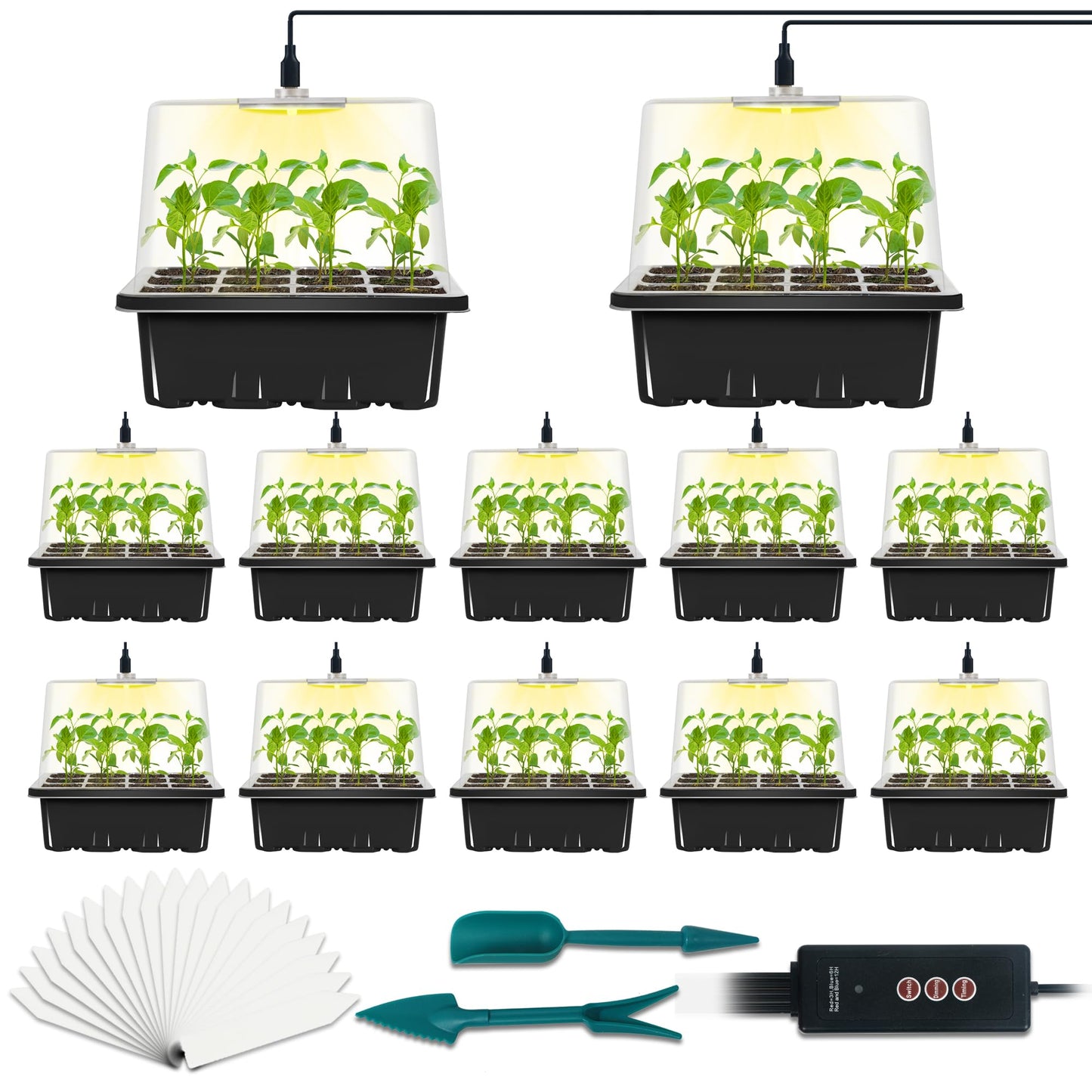 LYDTICK 12-Set Seed Starter Tray with Grow Light, Seed Starting Trays Kits with Timing Controller Adjustable Humidity Domes Heightened Lids(12-Cells Per Tray)