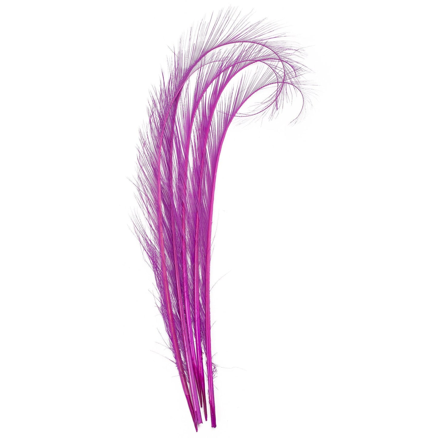 Lawliet 5pcs 10-12" Burnt Pheasant Quill Feather Millinery Hat Trimming Craft B071 (Purple)