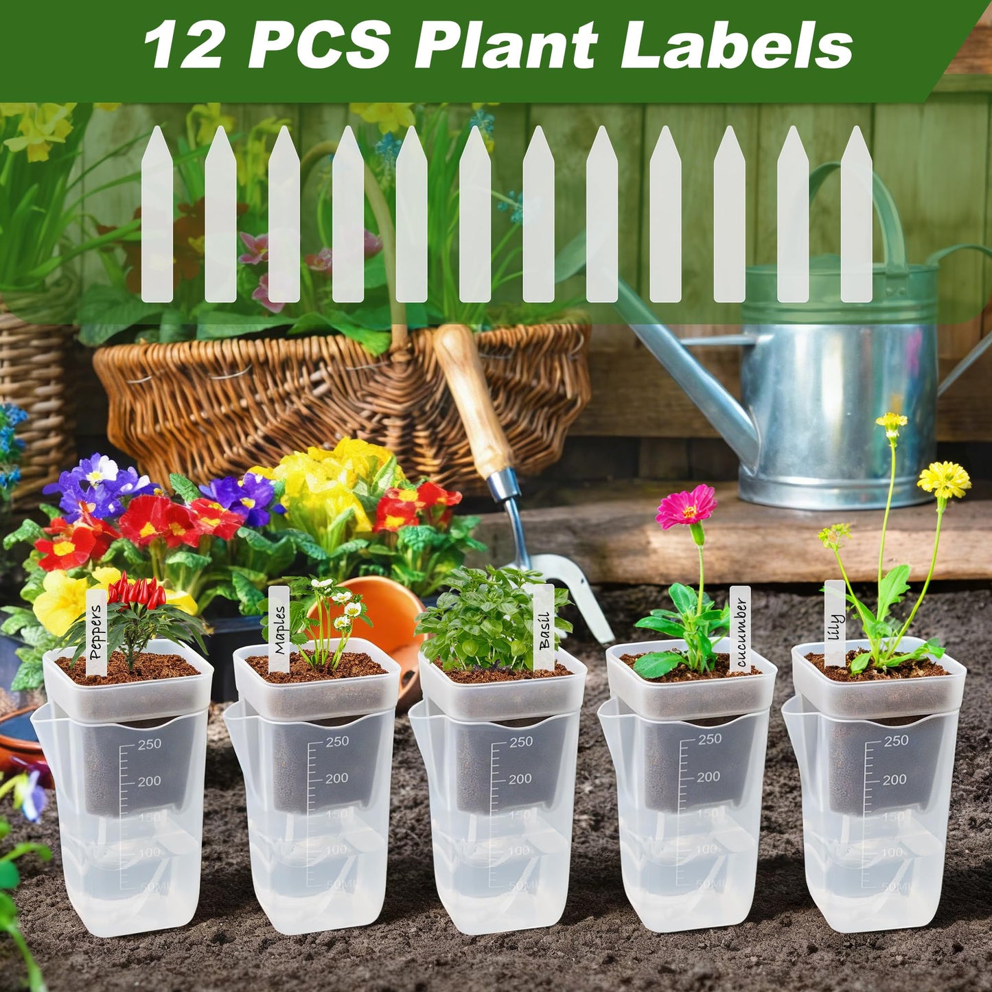Anglecai 12 Pack Mini Self Watering Pots Set for Indoor Plants, 2.5" Small Clear Self Watering Planters with Watering Holes Plastic Flower Pot with 12 Labels, 12 Ropes