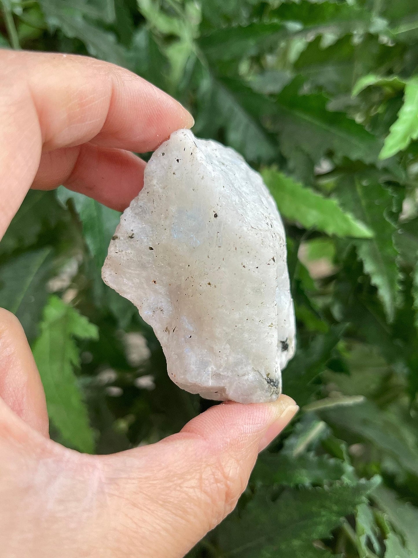 GAF TREASURES Wholesale Raw Rainbow Moonstone Crystals, Natural Rainbow Moonstone Stone, Rainbow Moonstone Rough, Rainbow Moonstone Healing Crystals (Rainbow Moonstone, 0.25 Pound)