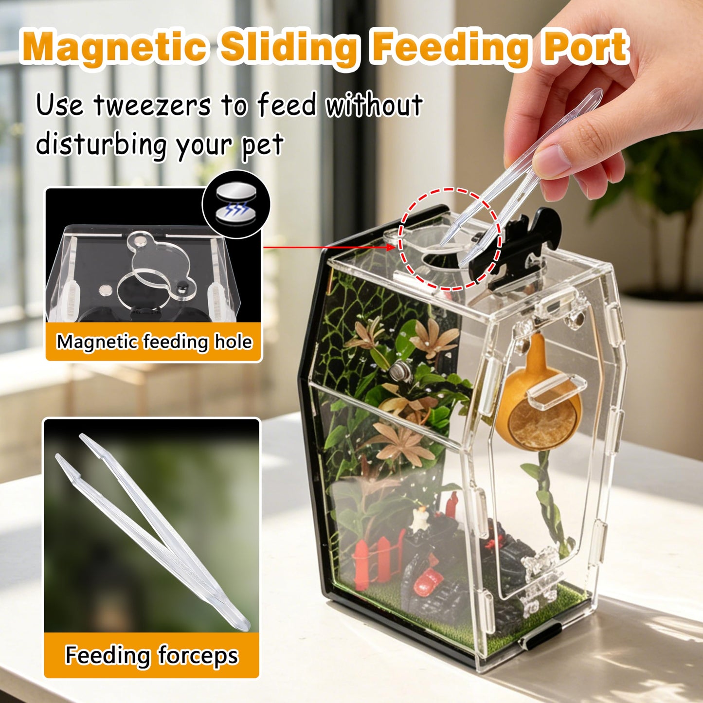 ZUIFIANLE 19PCS Jumping Spider Enclosure Kit, Acrylic Goth Coffin Terrarium with Magnetic Lock & Feeding Hole, DIY Decor Set for Tarantula Mantis Insect Habitat, Black Base